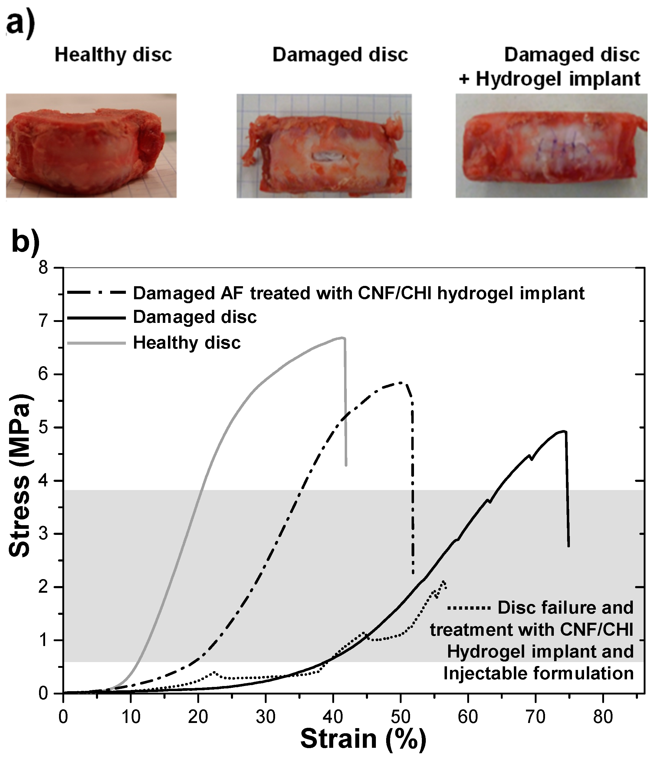 Biomimetics 04 00019 g008