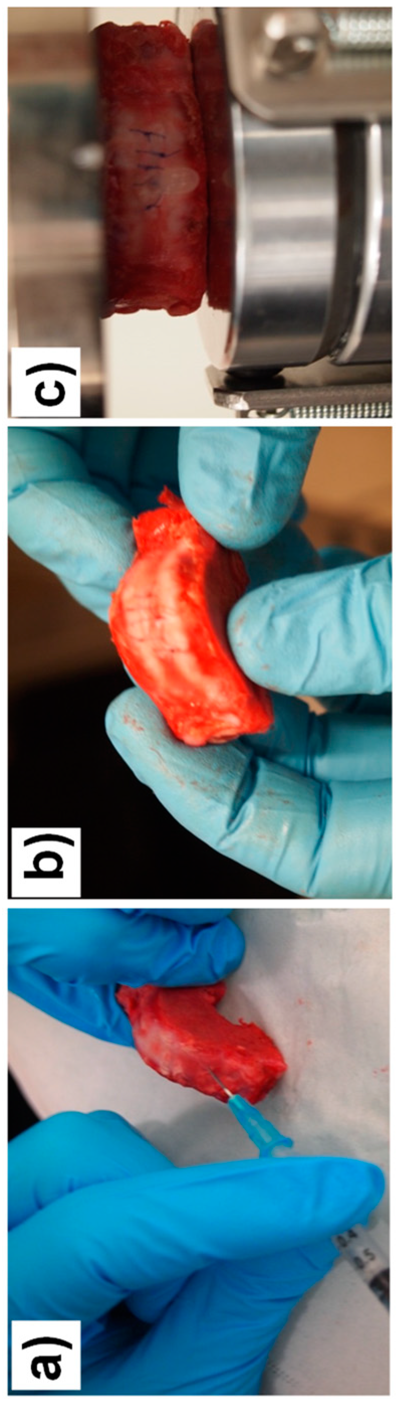 Biomimetics 04 00019 g009