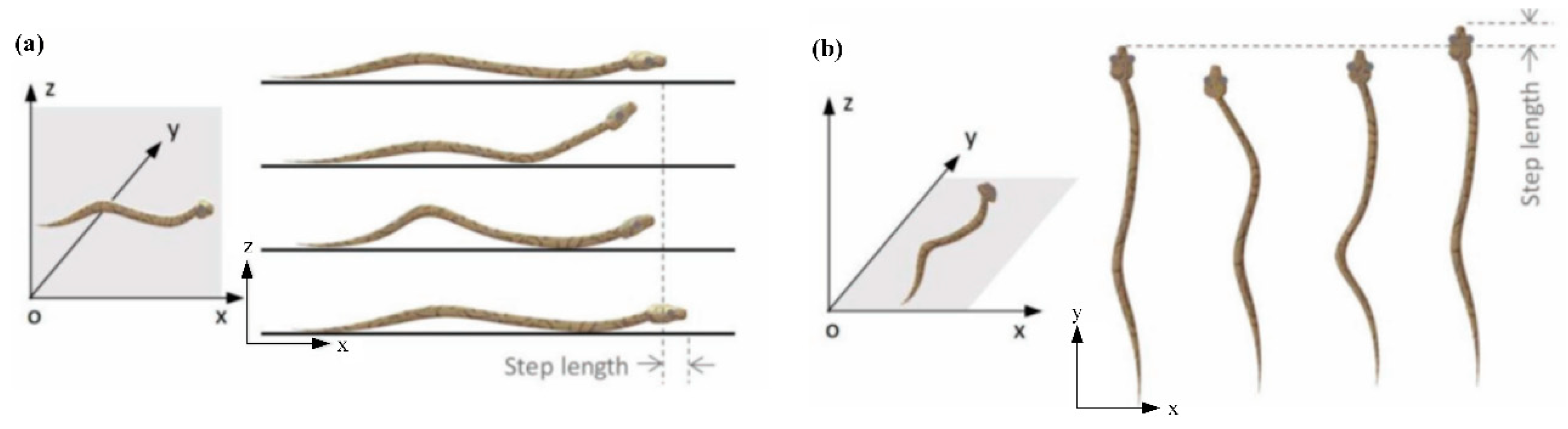 Biomimetics 04 00057 g001