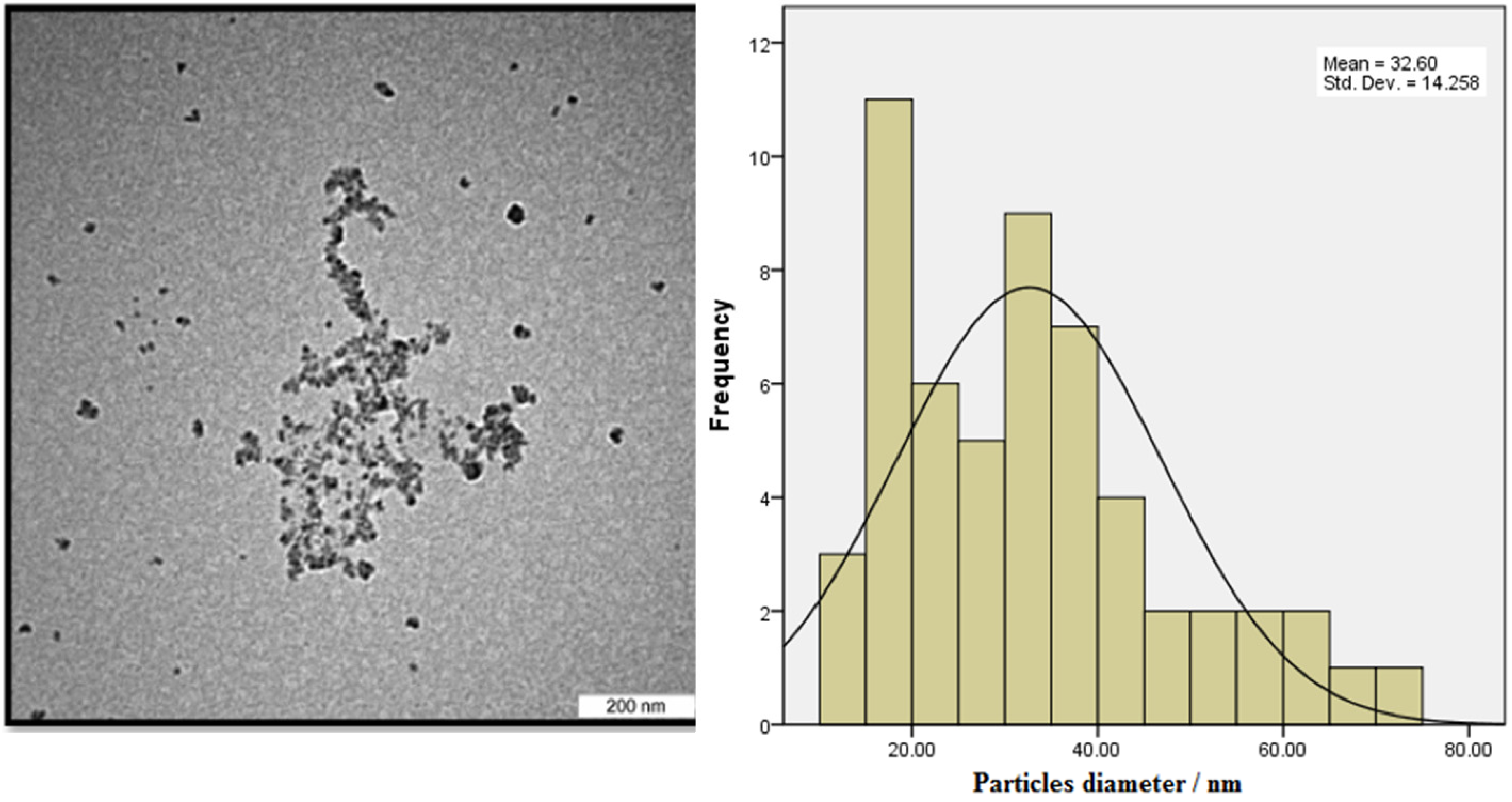 Biomimetics 06 00034 g004