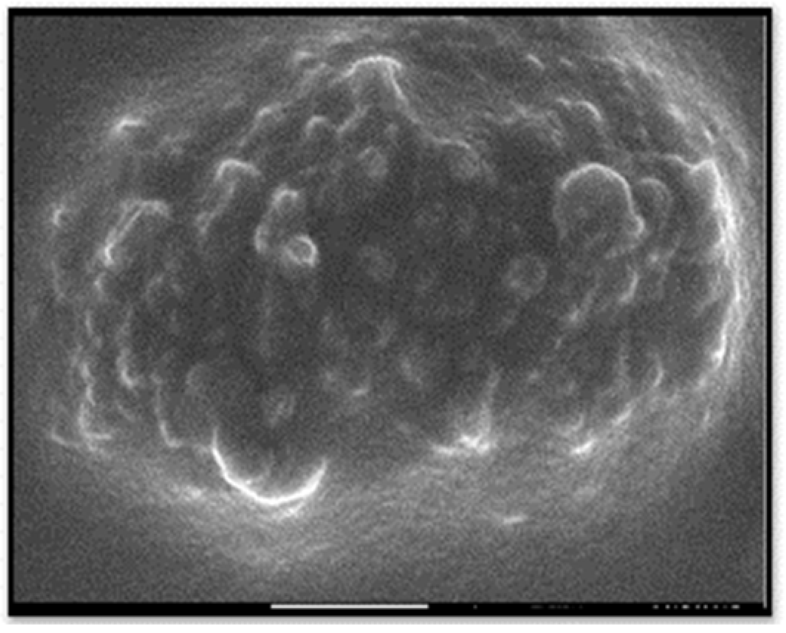 Biomimetics 06 00034 g005