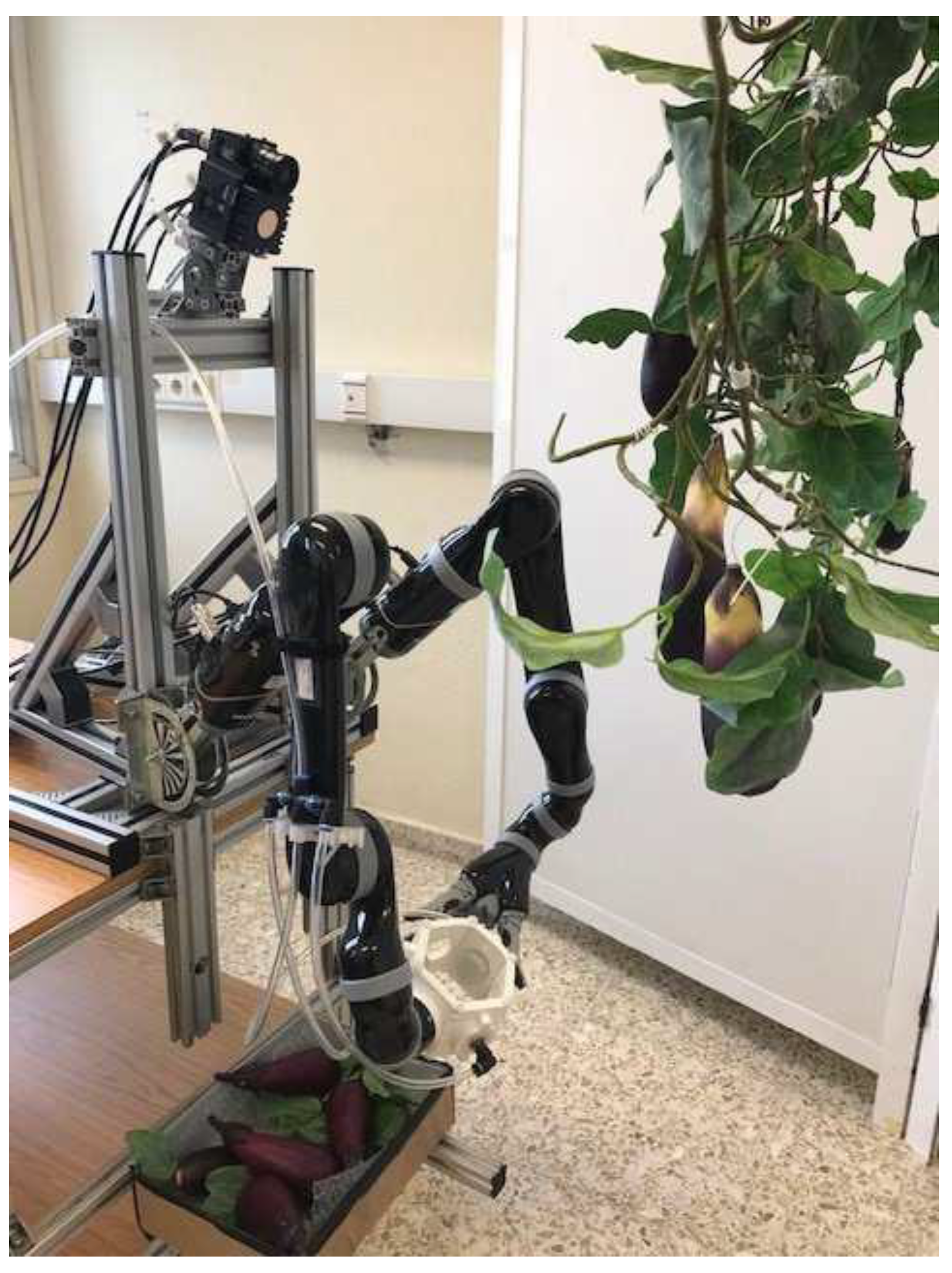 Biomimetics 07 00069 g004