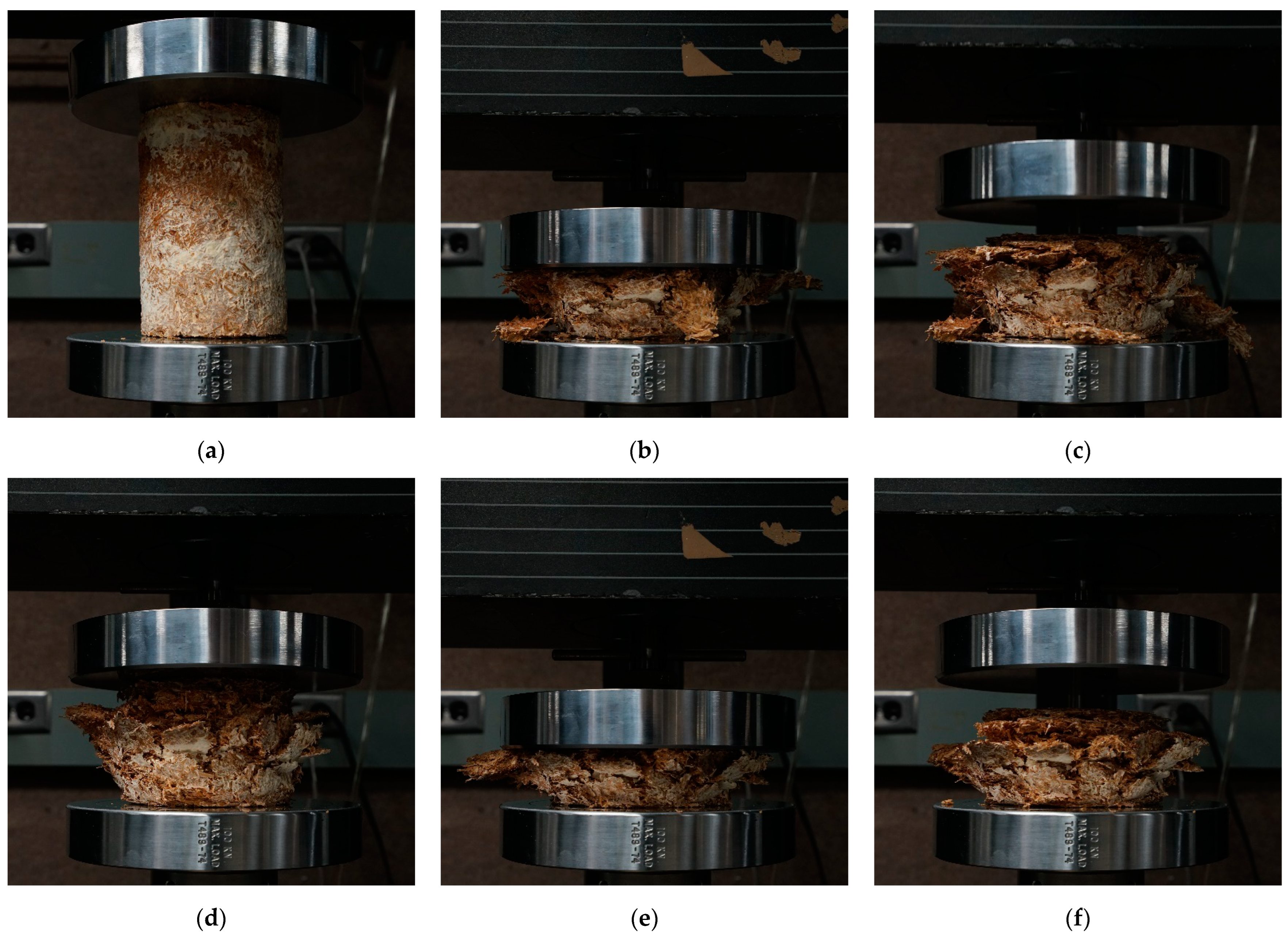 Biomimetics 07 00103 g005