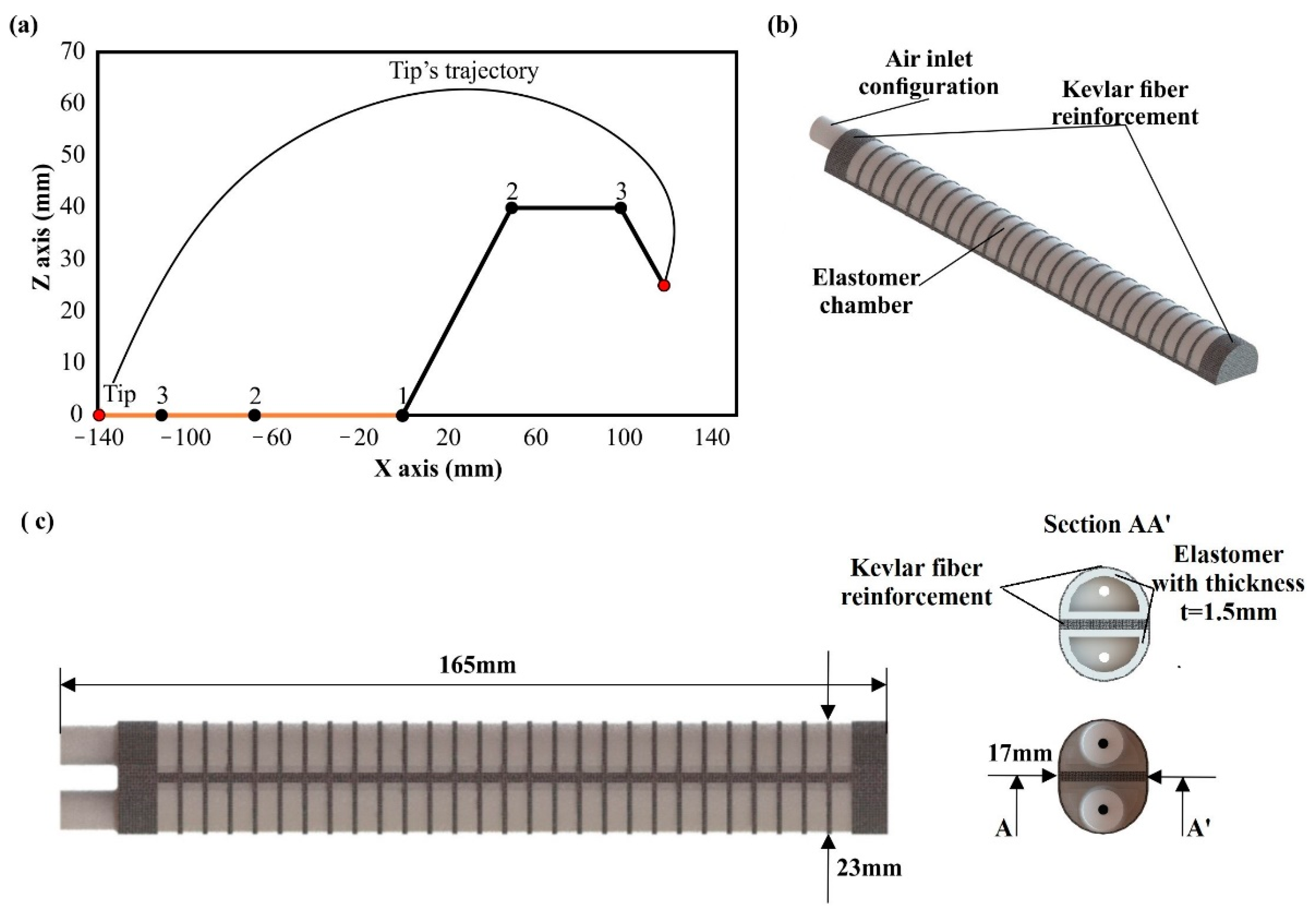 Biomimetics Free Full Text Design And Development Of A Multi