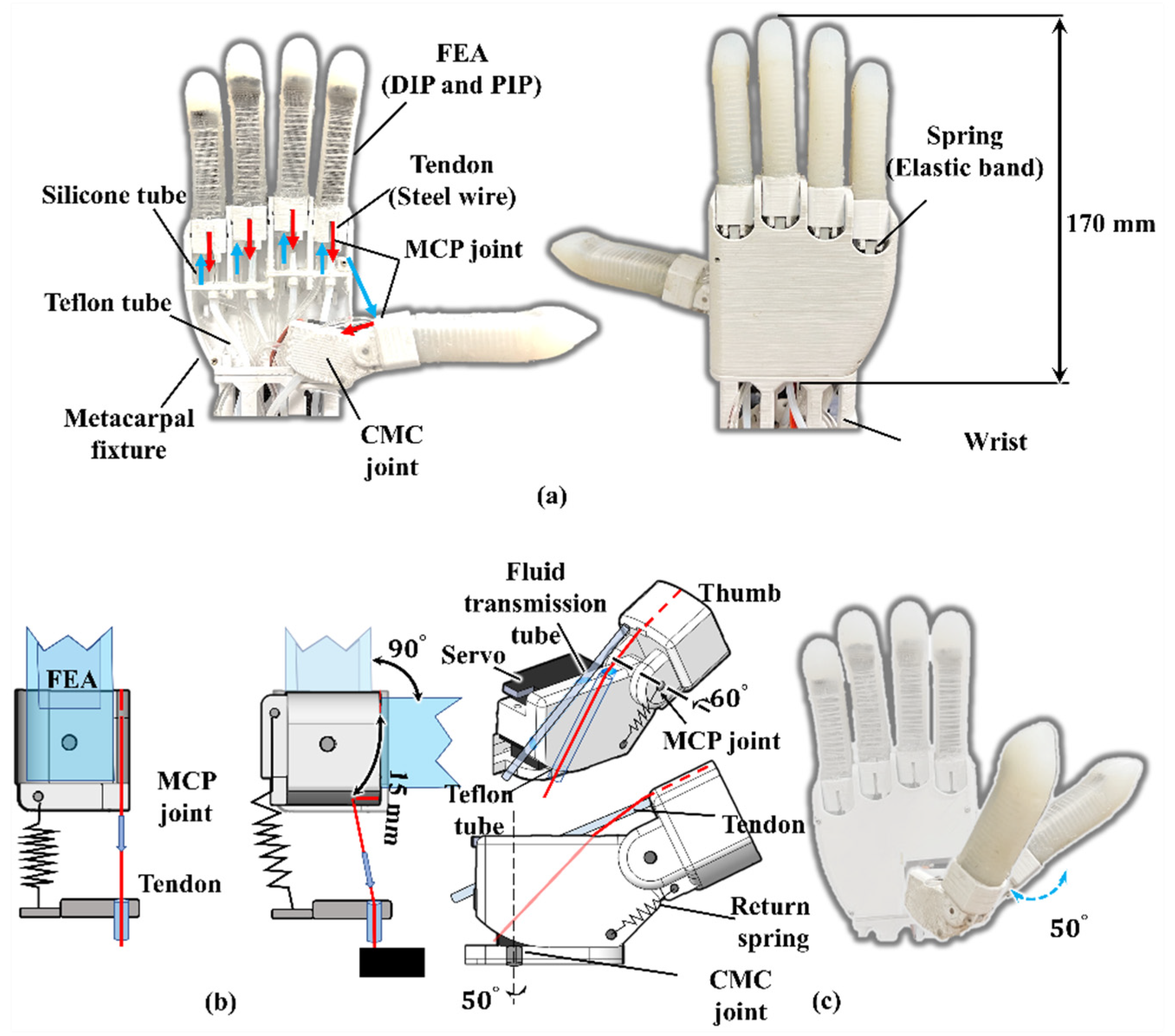 Biomimetics 07 00171 g004
