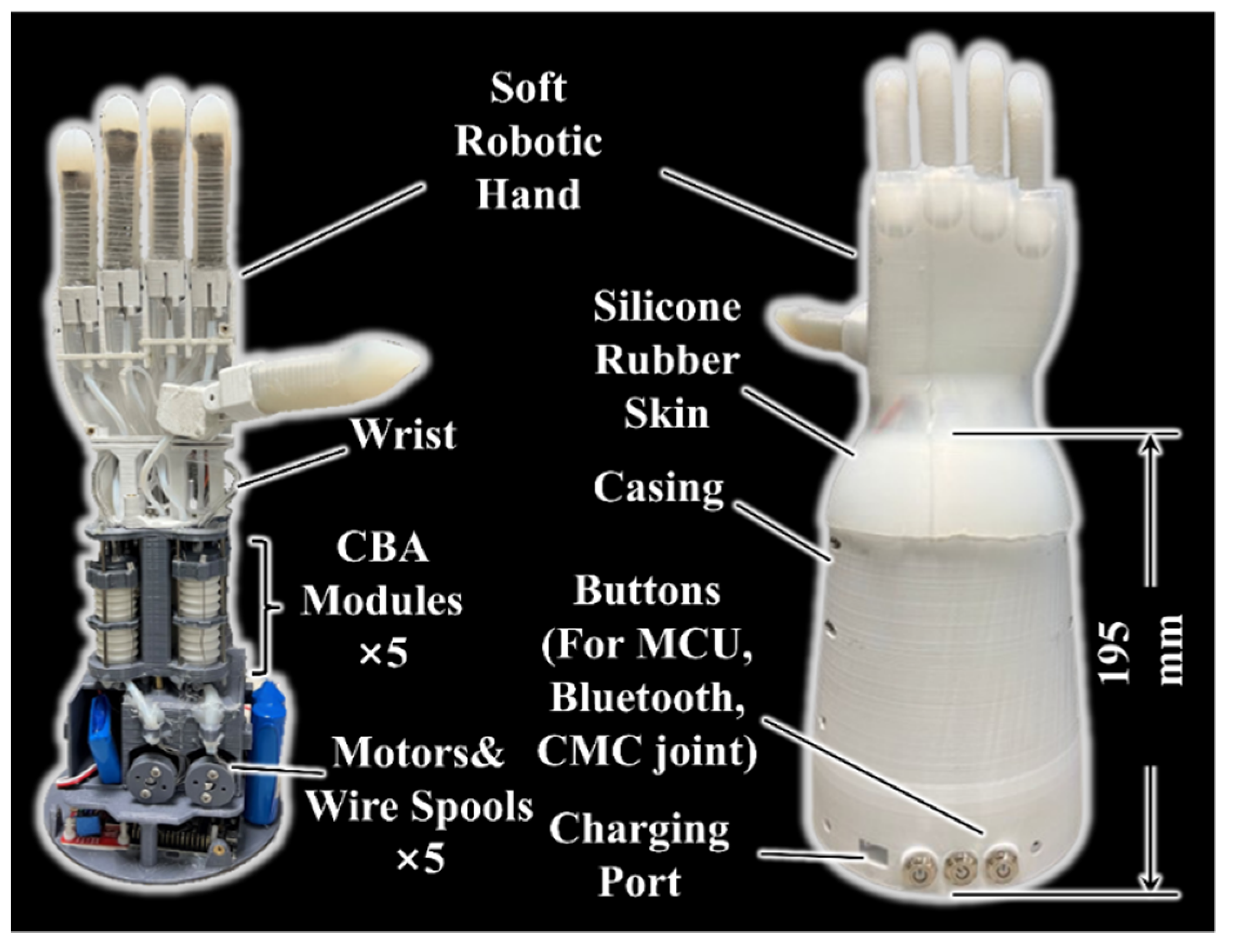 Biomimetics 07 00171 g005