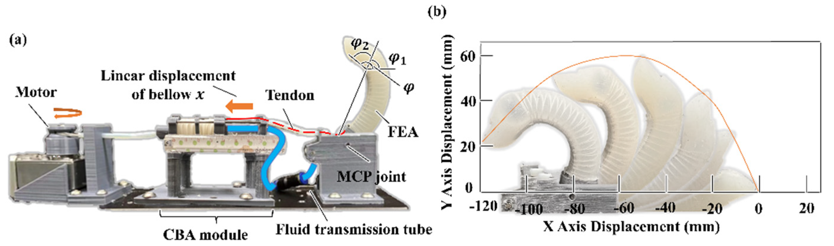 Biomimetics 07 00171 g006
