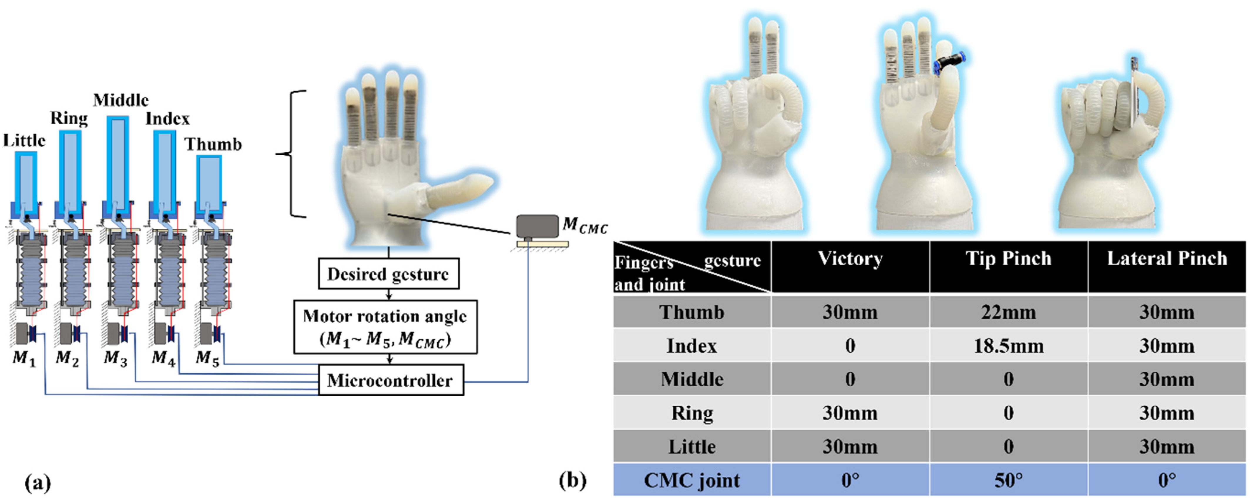 Biomimetics 07 00171 g010