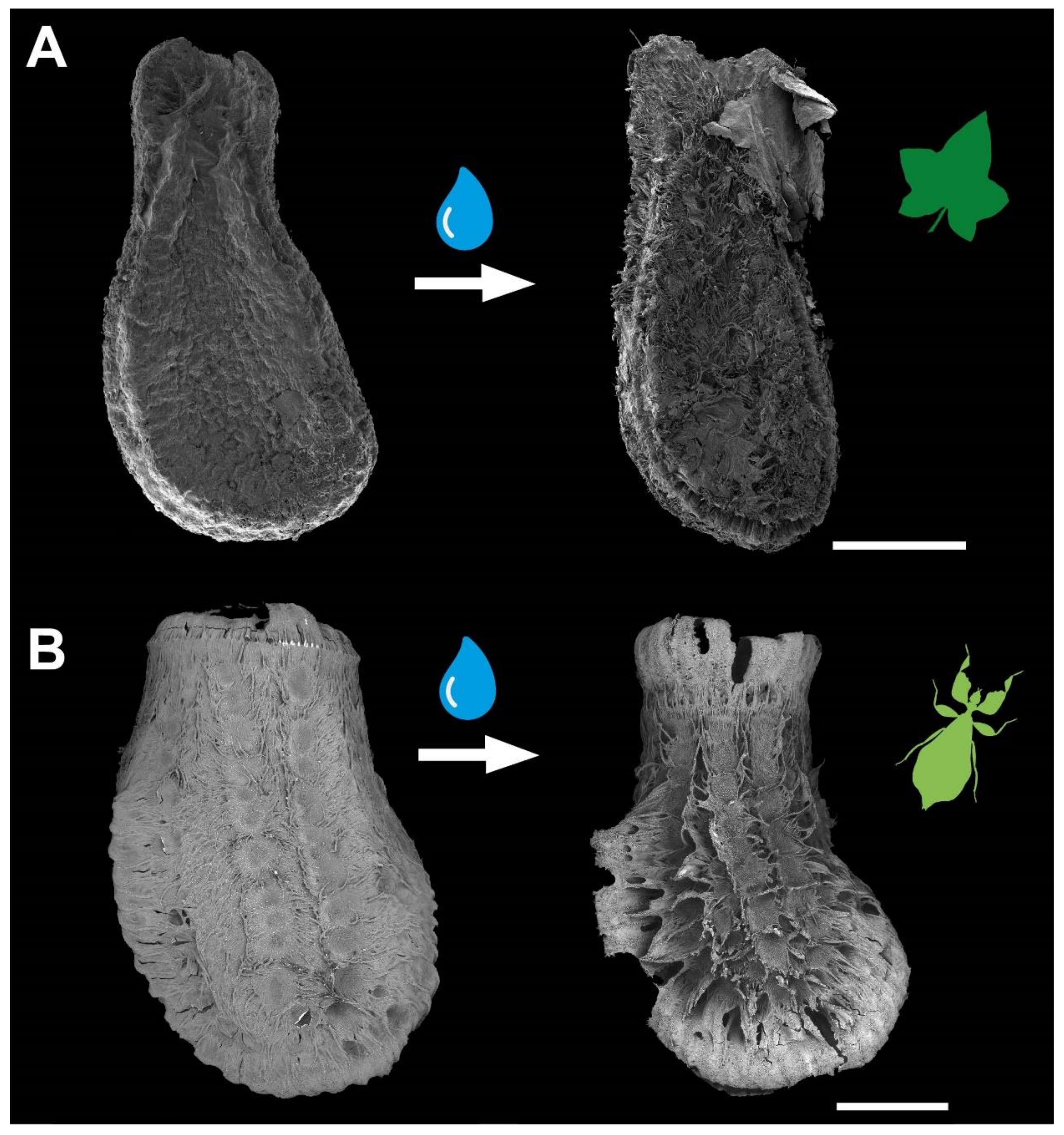 Biomimetics 07 00173 g002 Biomimetics 07 00173 g002