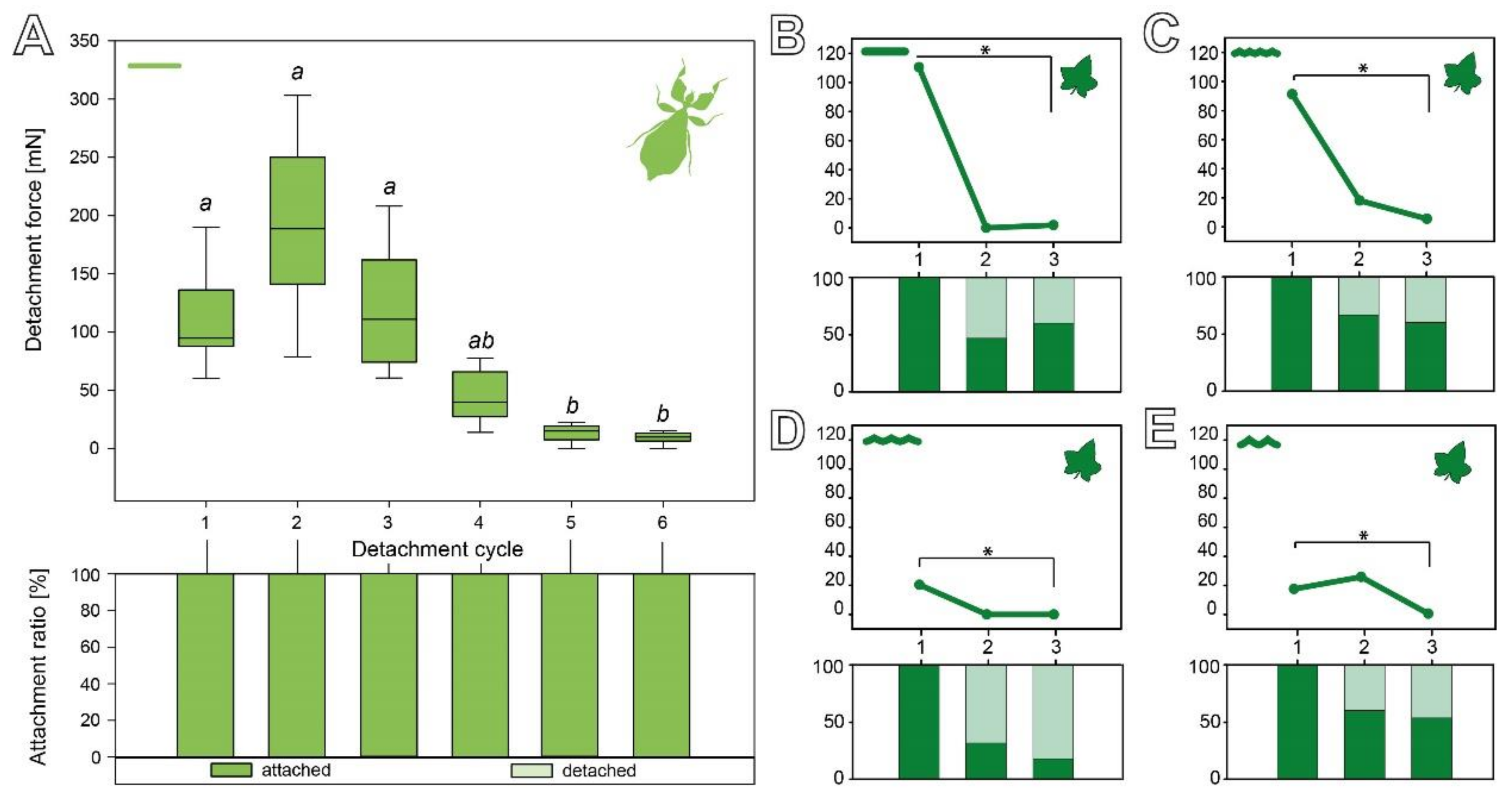 Biomimetics 07 00173 g006 Biomimetics 07 00173 g006