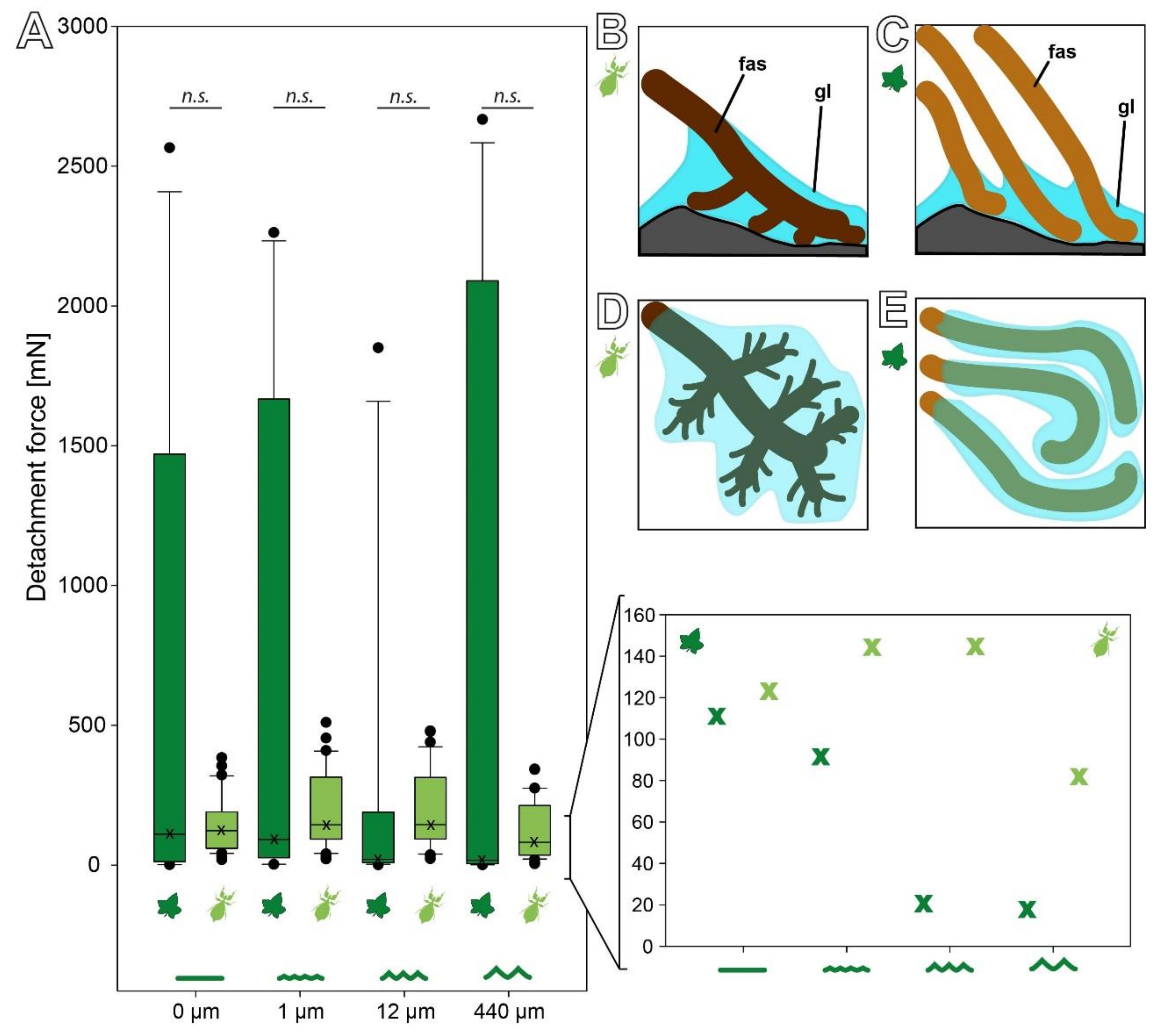 Biomimetics 07 00173 g007 Biomimetics 07 00173 g007
