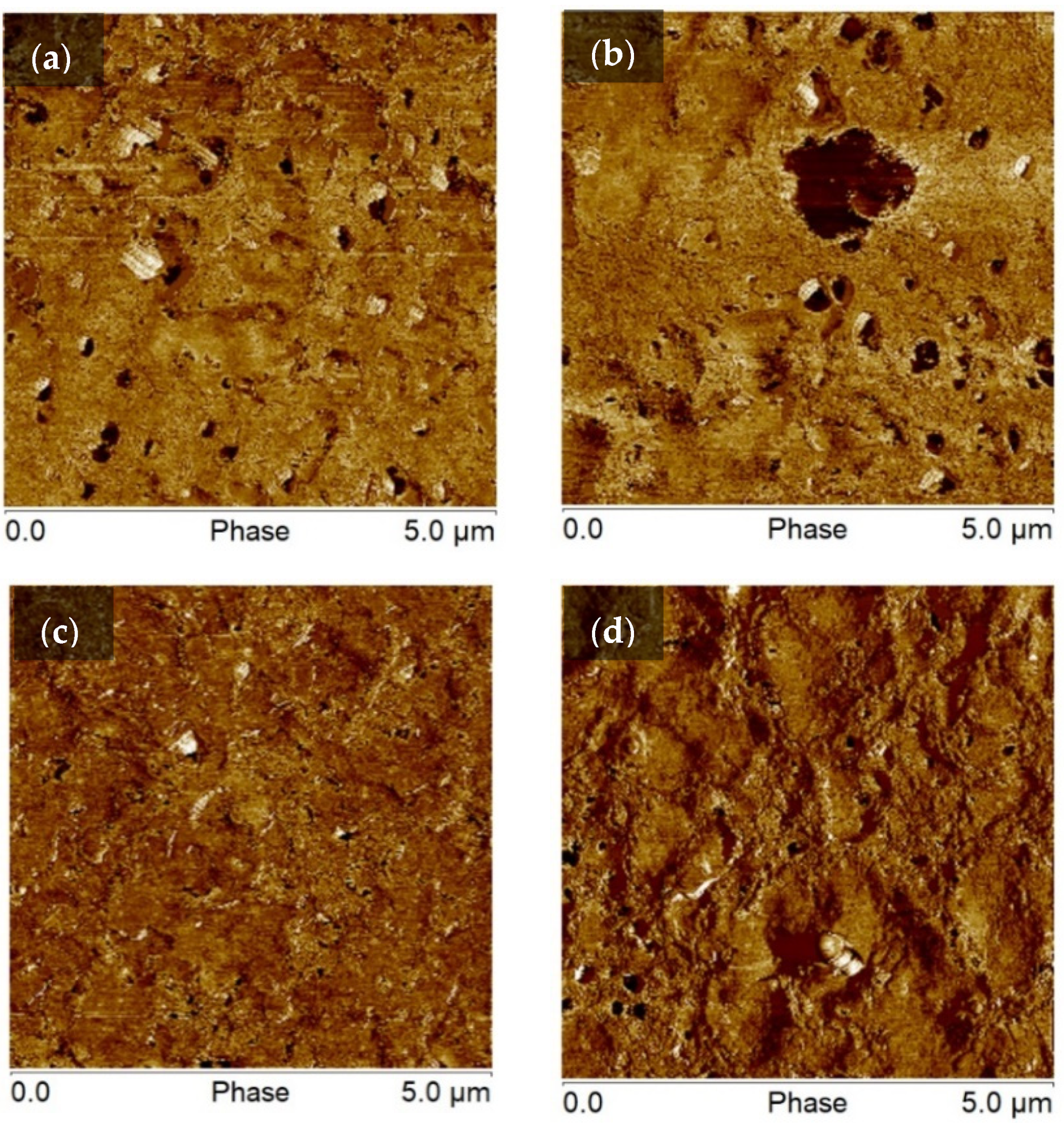 Biomimetics 07 00174 g005