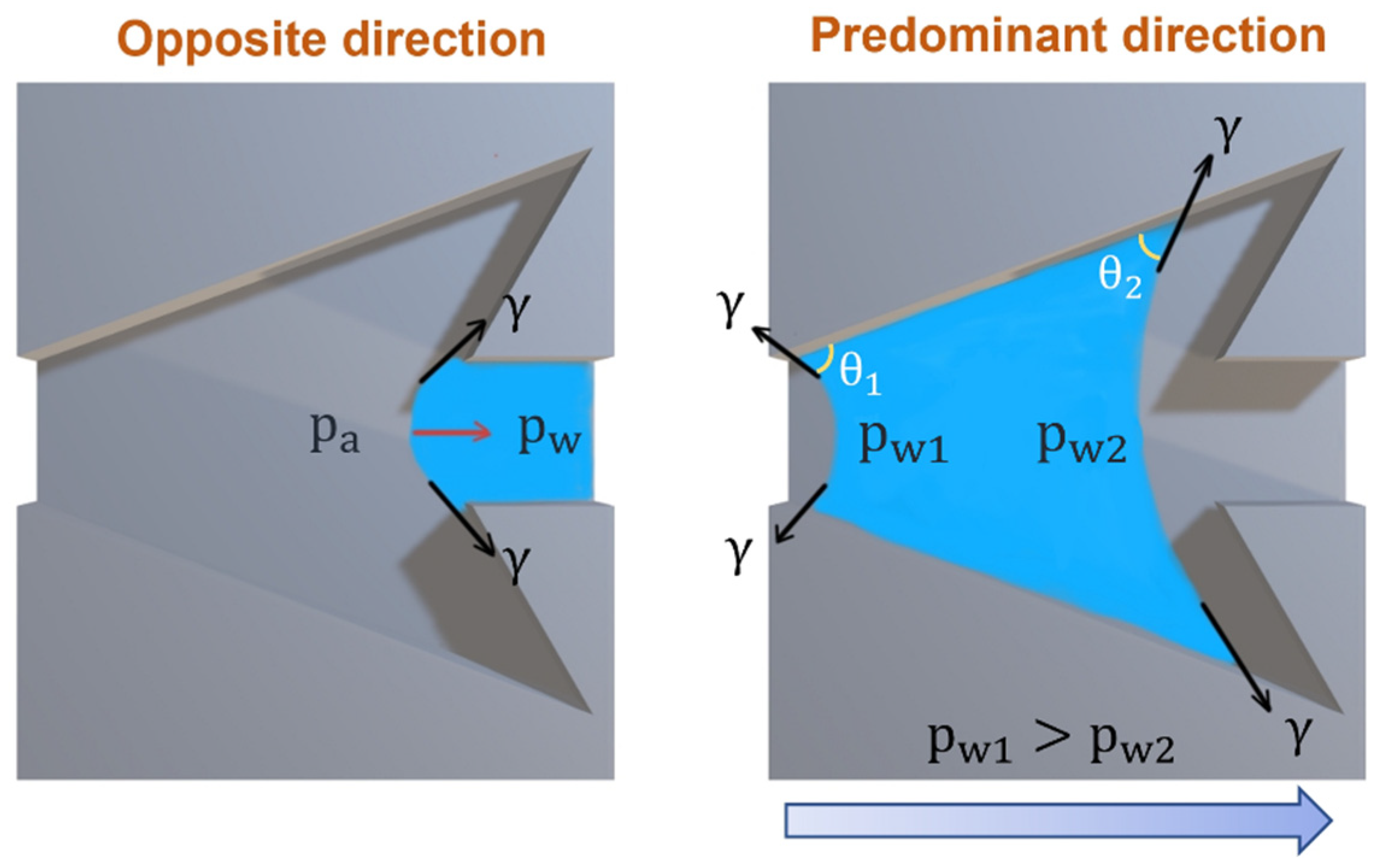 Biomimetics 07 00174 g015