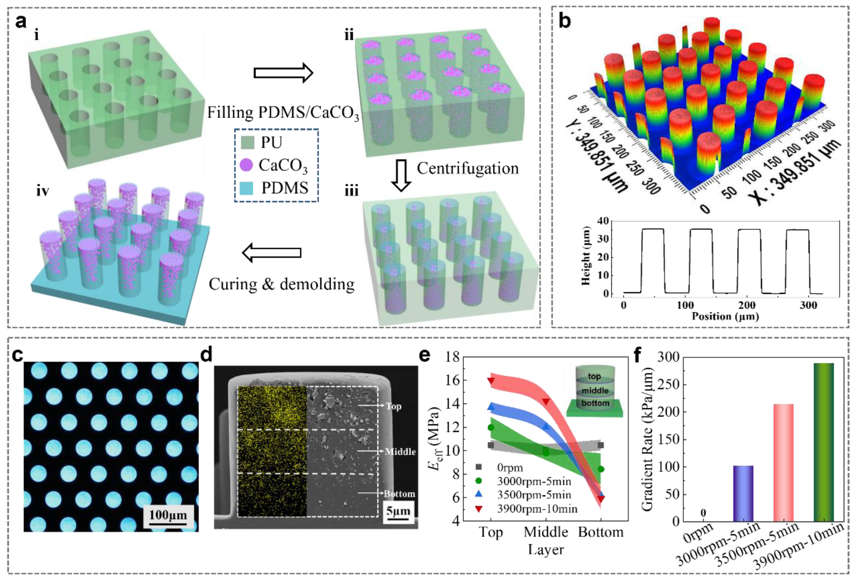 Biomimetics 07 00209 g002