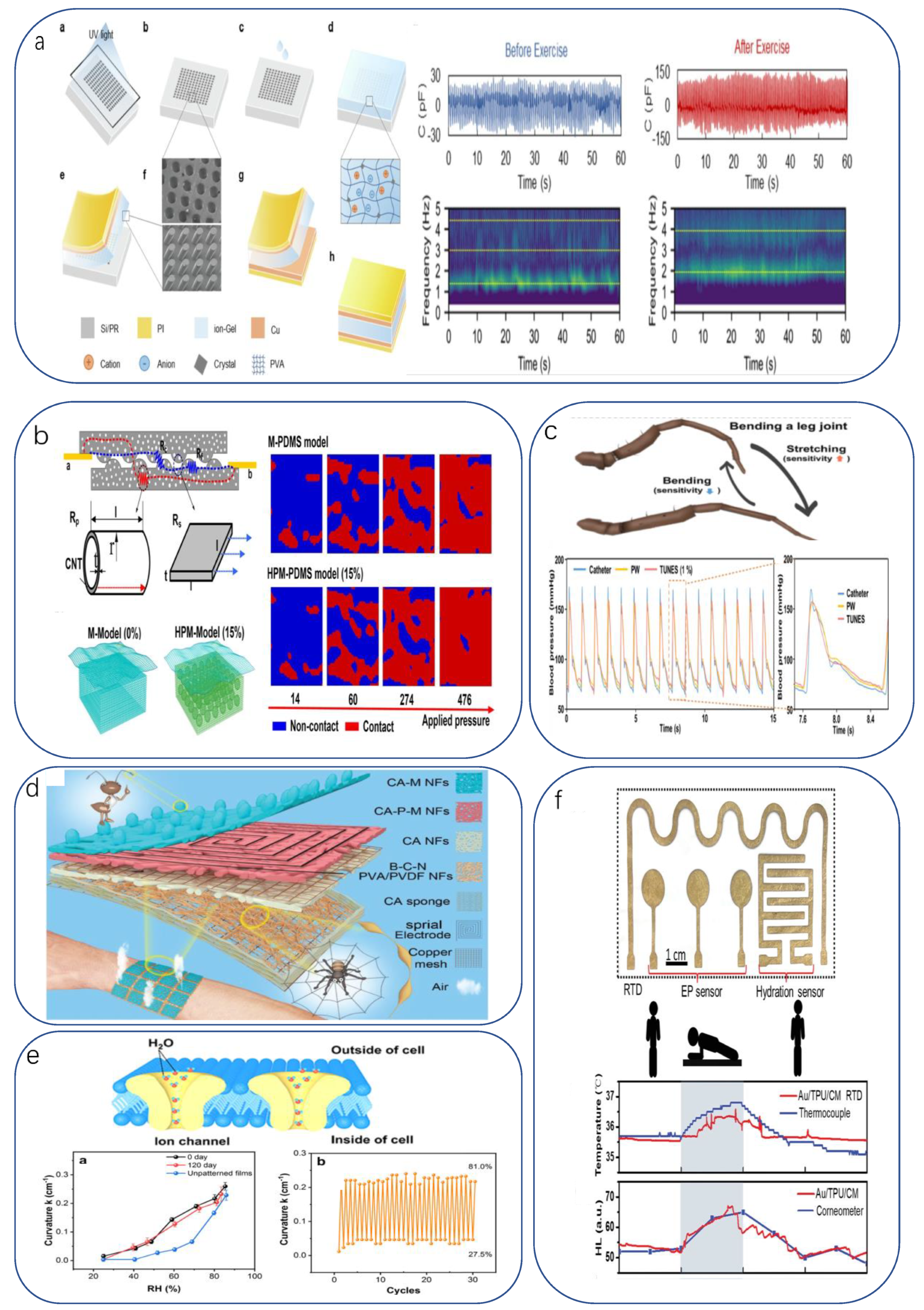 Biomimetics 08 00293 g004
