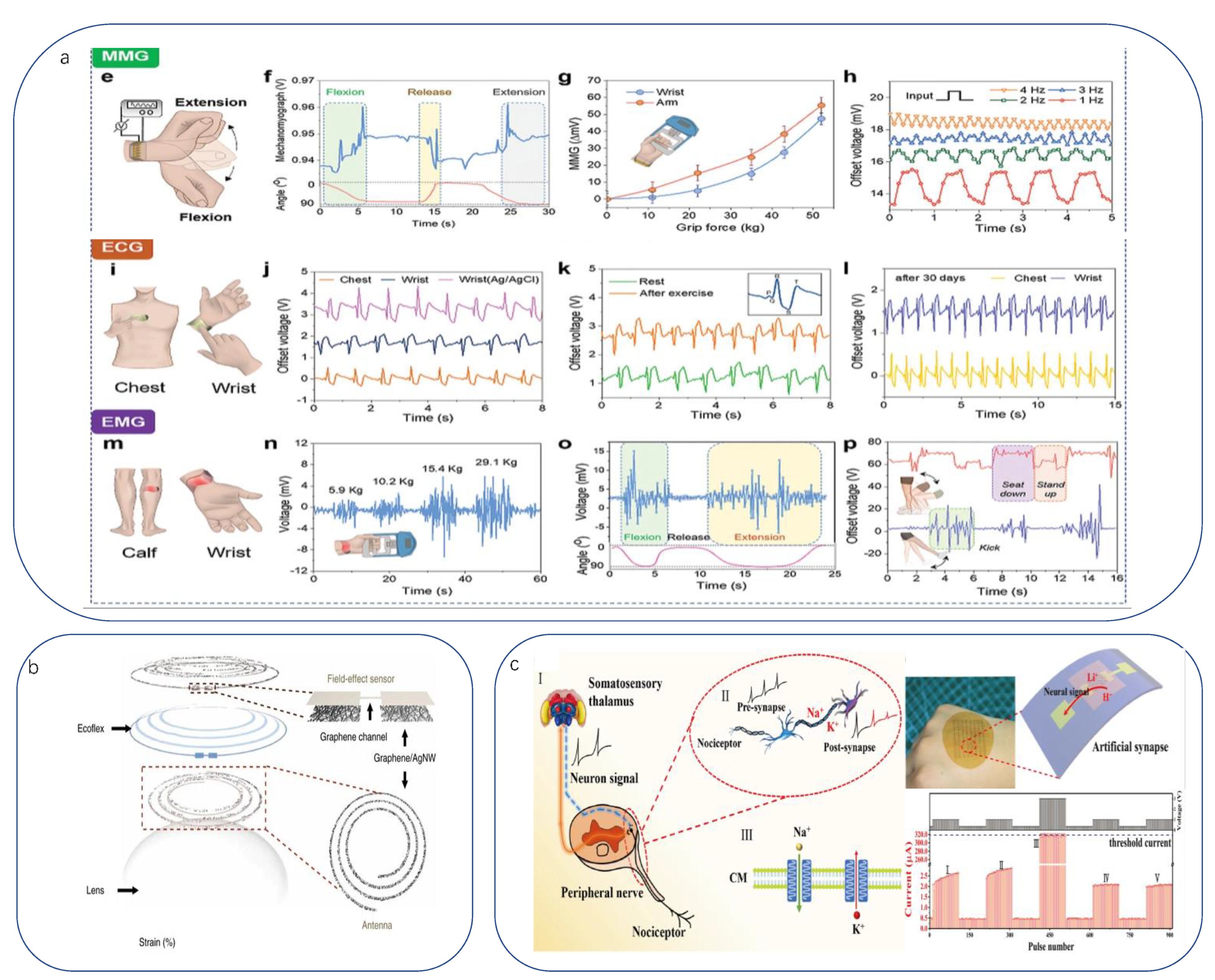 Biomimetics 08 00293 g007