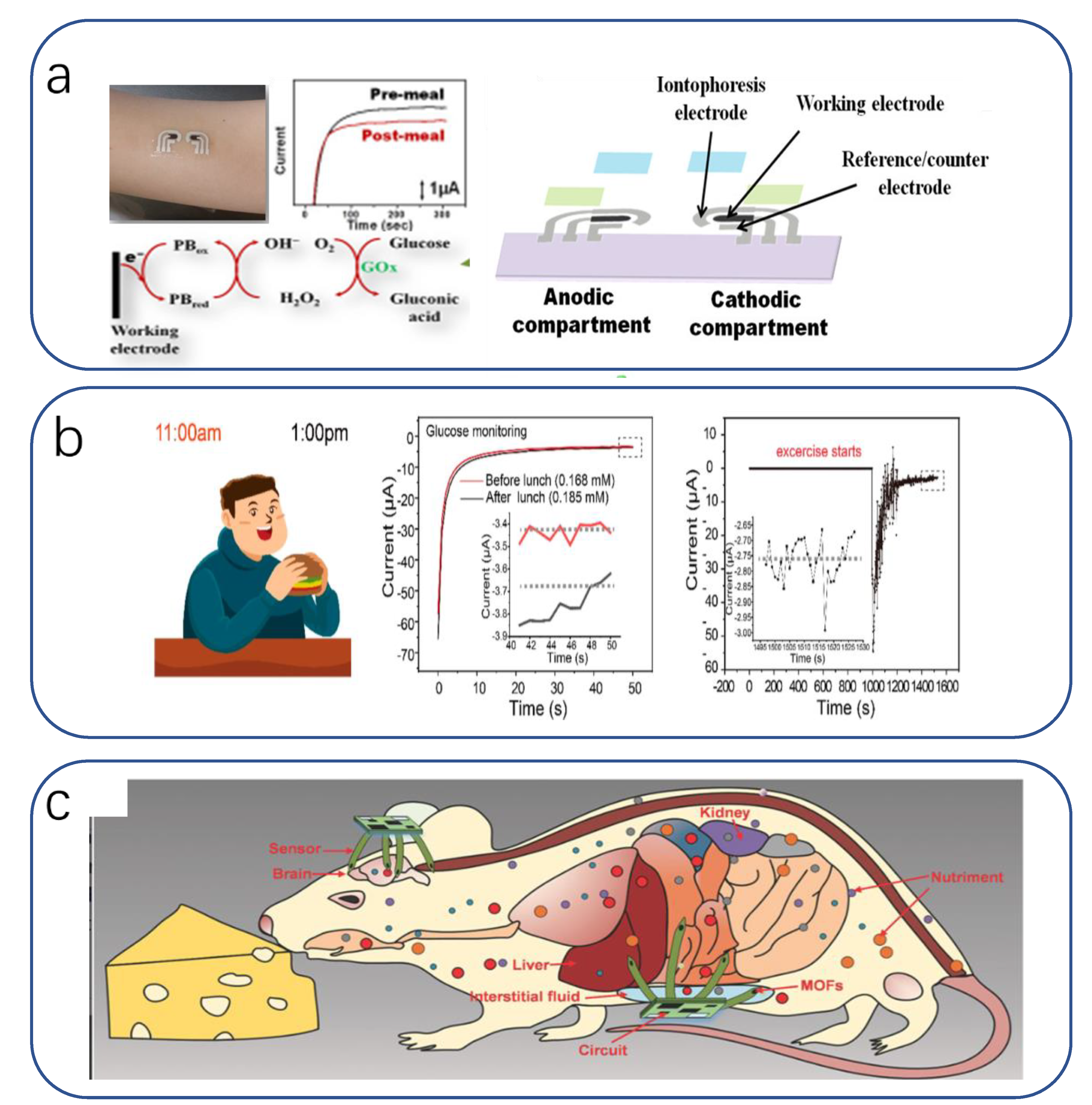 Biomimetics 08 00293 g016