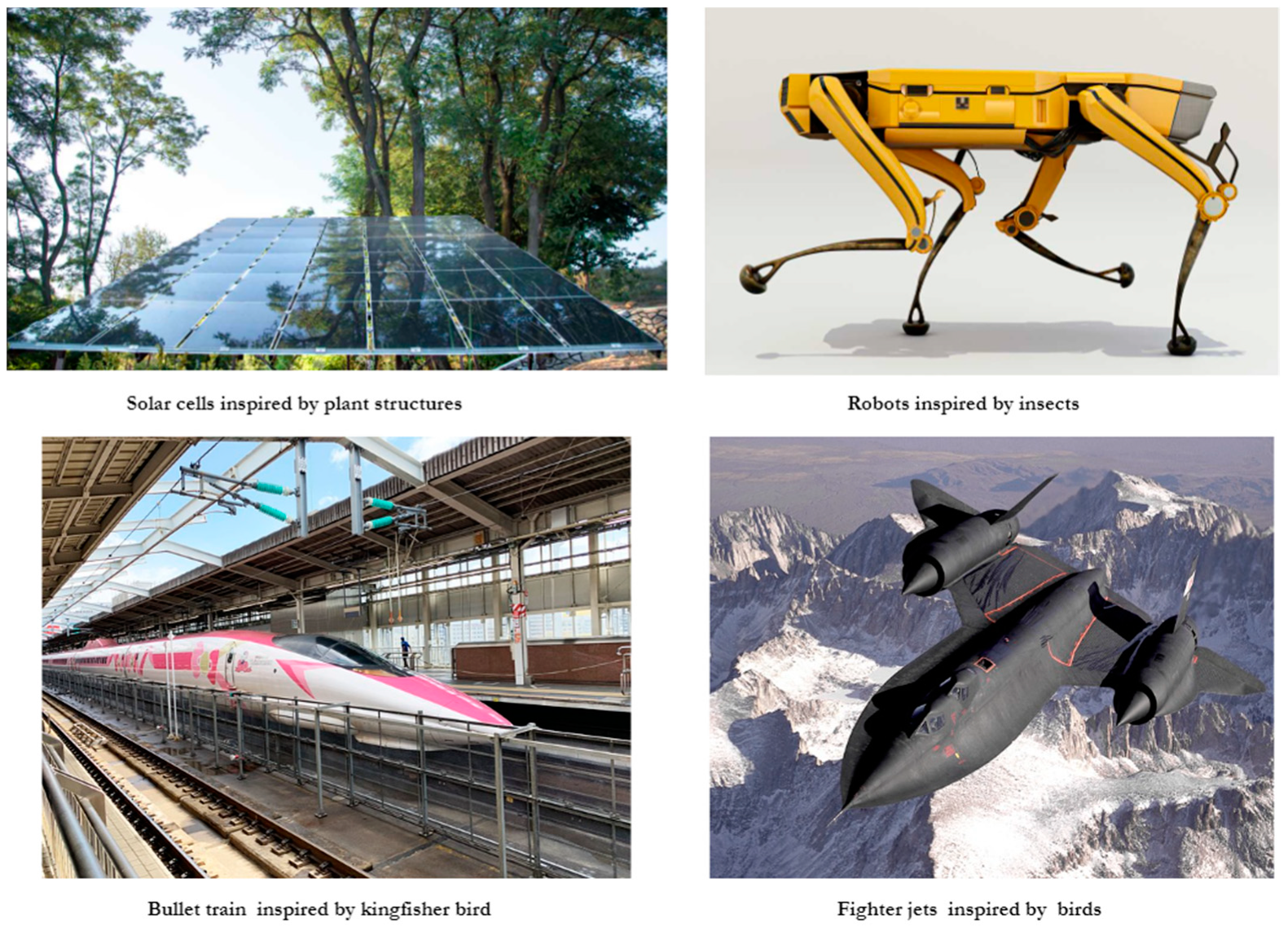 Biomimetics 08 00373 g005