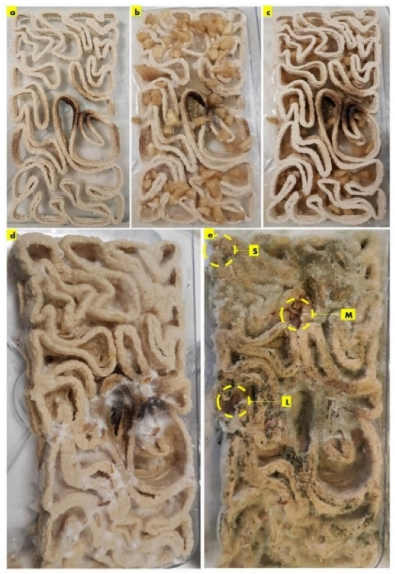 Biomimetics 08 00504 g003