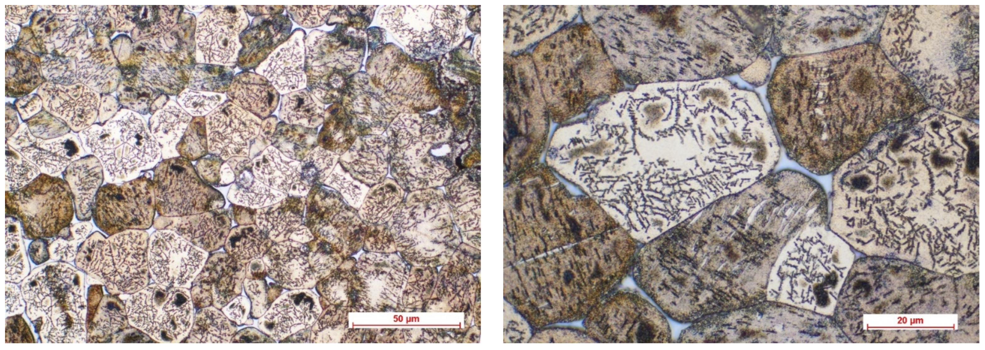 Biomimetics 08 00526 g003