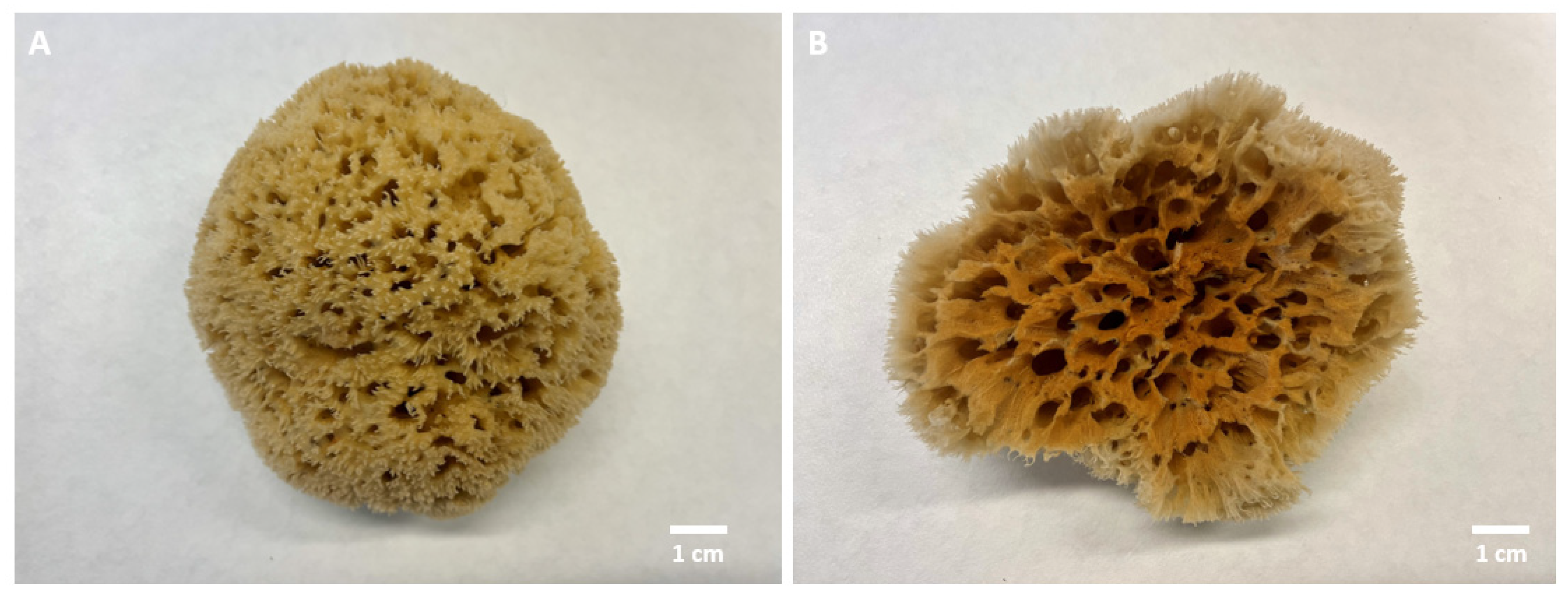 Biomimetics 08 00533 g001