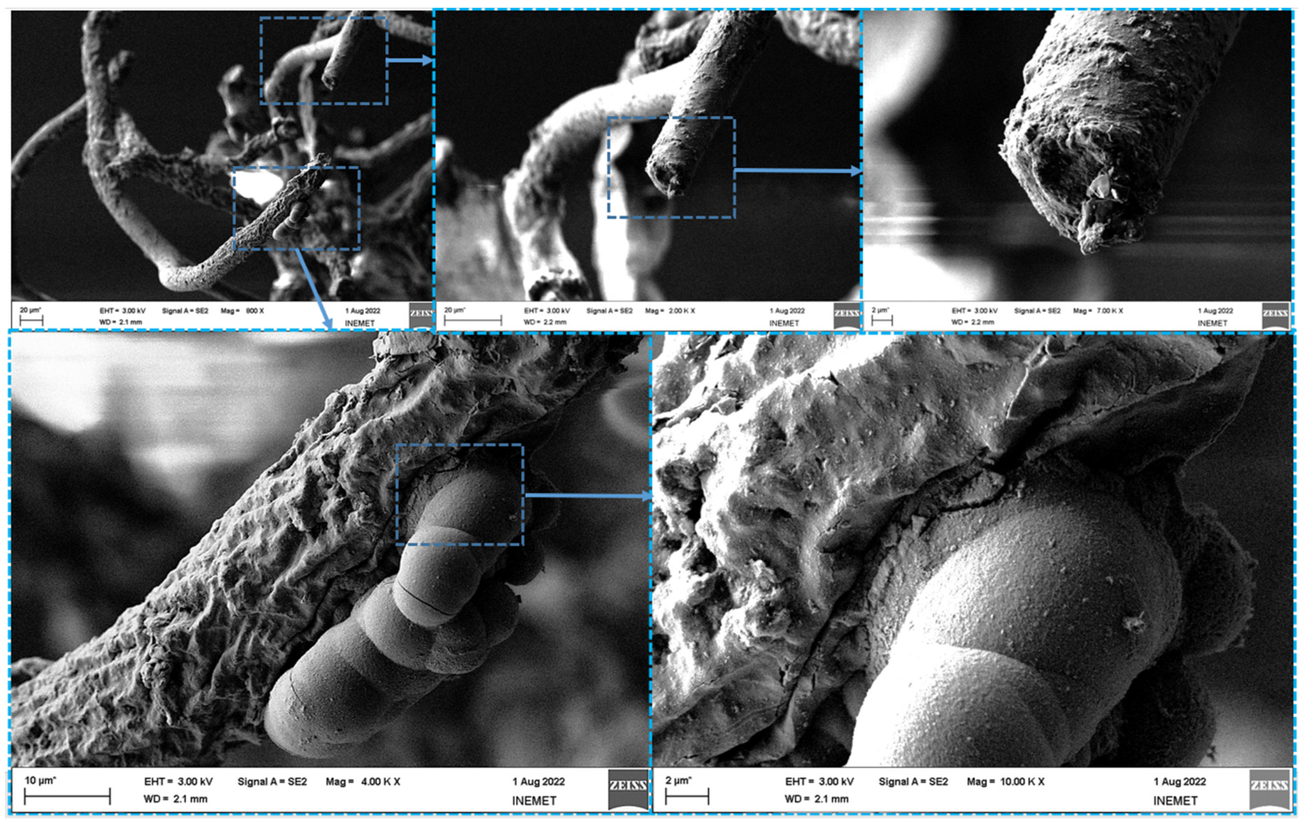 Biomimetics 08 00533 g005