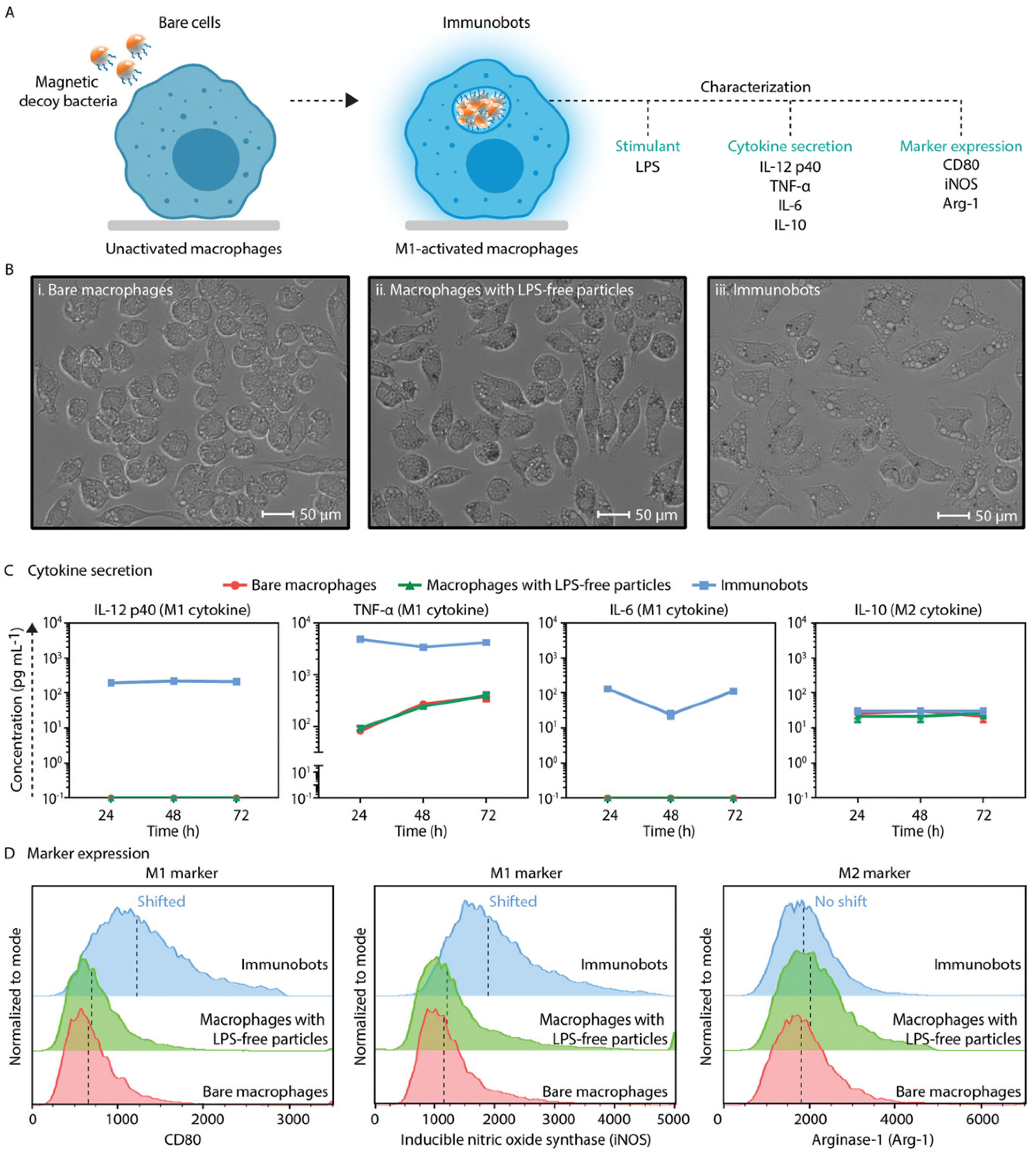 Biomimetics 08 00553 g008