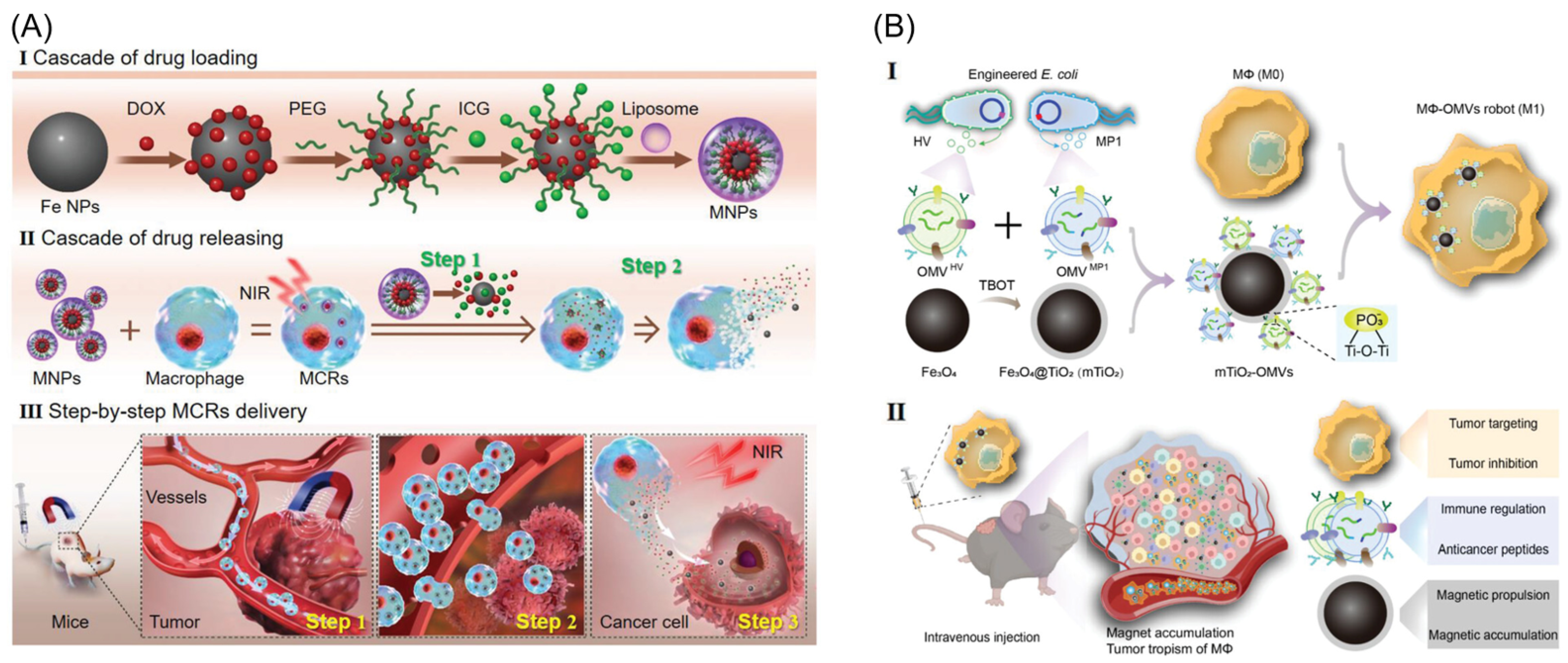 Biomimetics 08 00553 g009