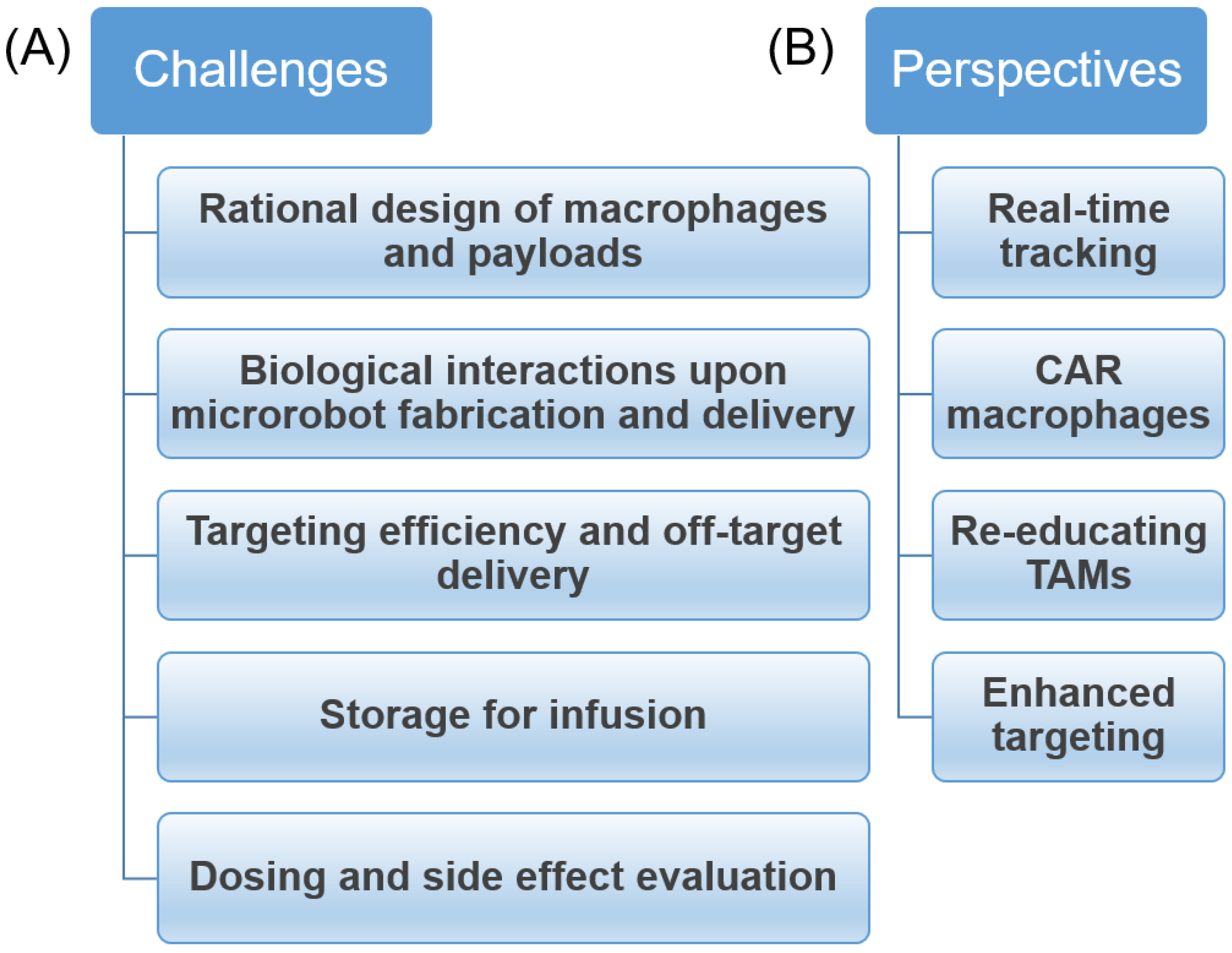 Biomimetics 08 00553 g010