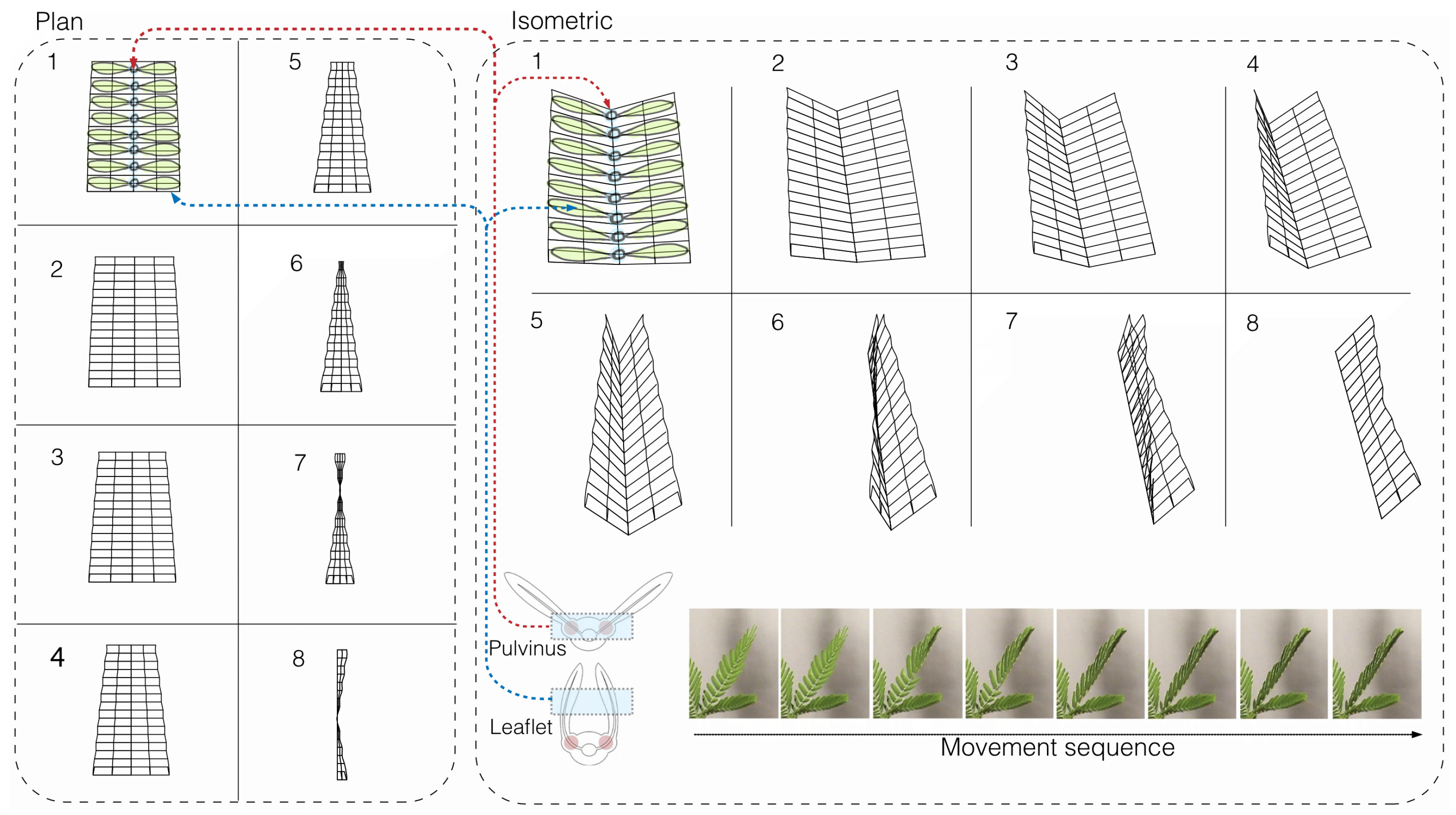 Biomimetics 08 00603 g007