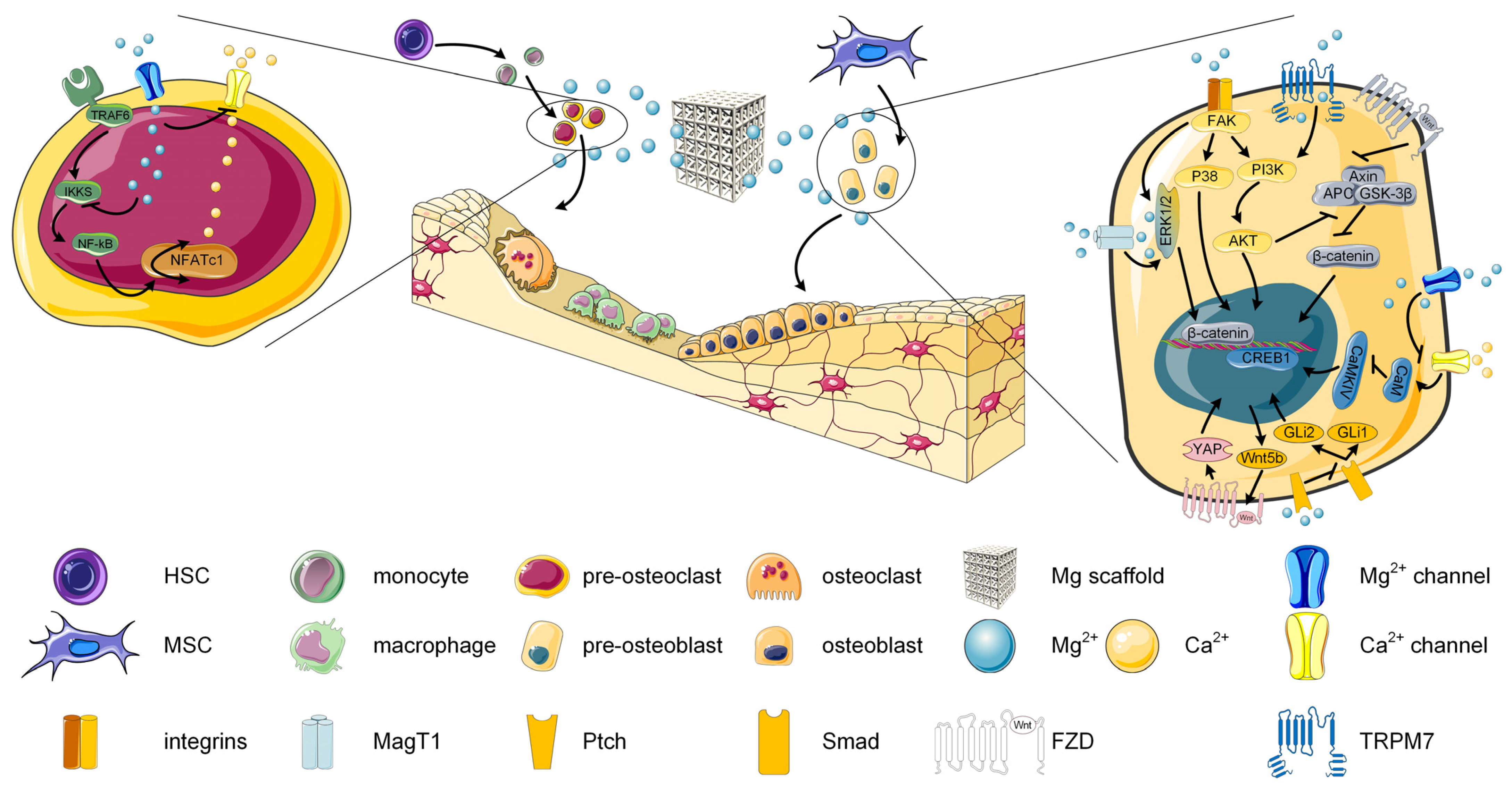 Biomimetics 08 00618 g004