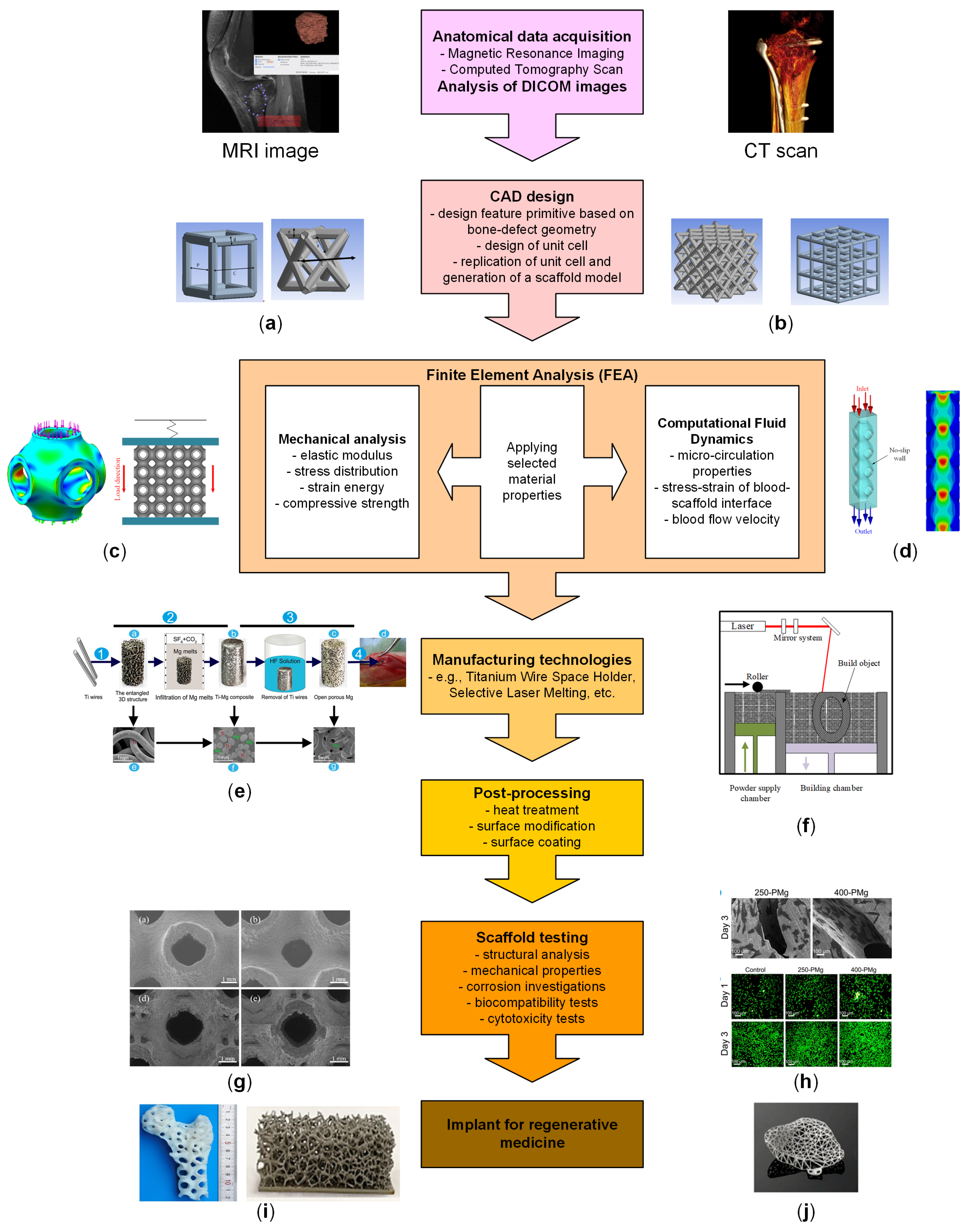 Biomimetics 08 00618 g007