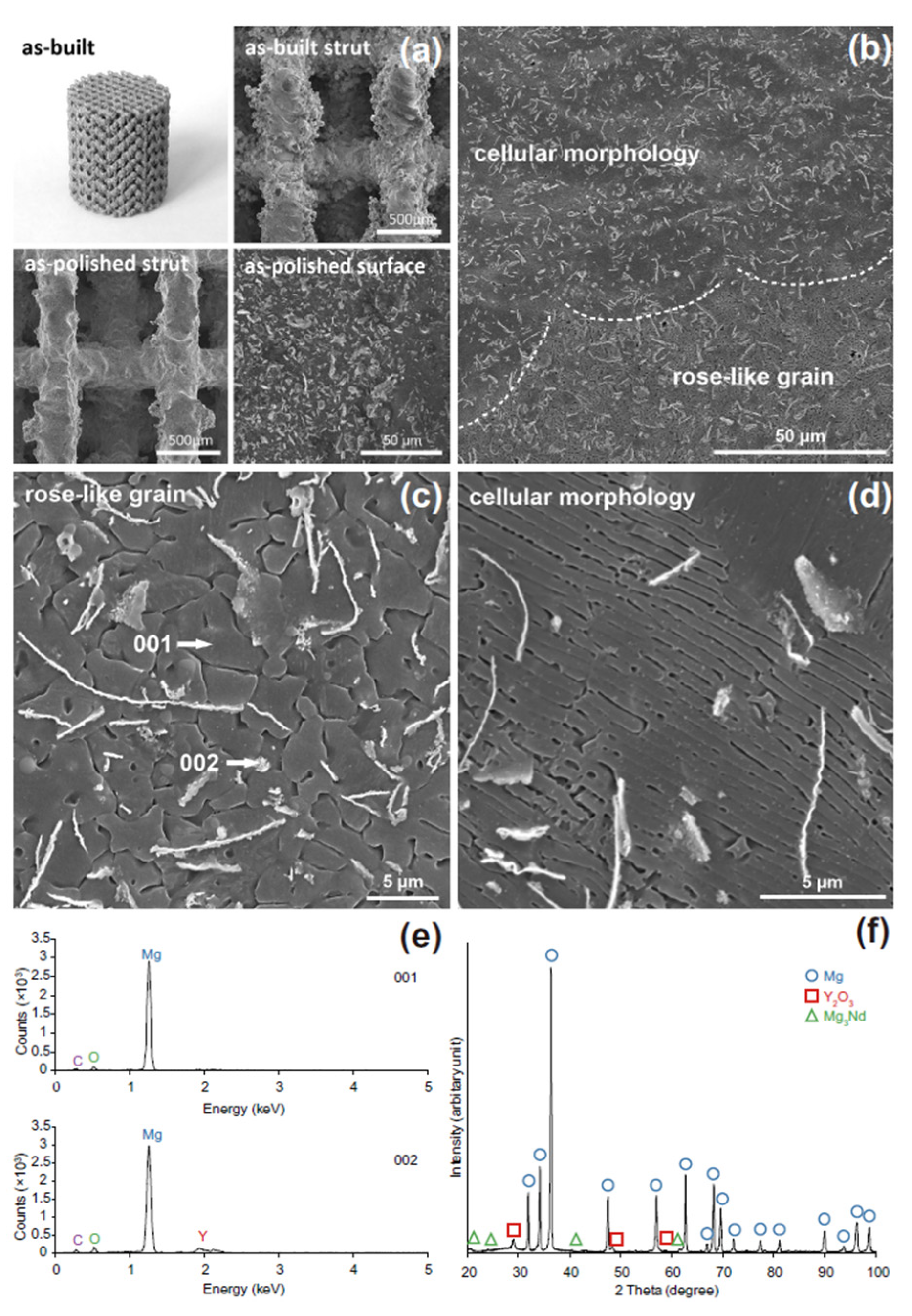 Biomimetics 08 00618 g010