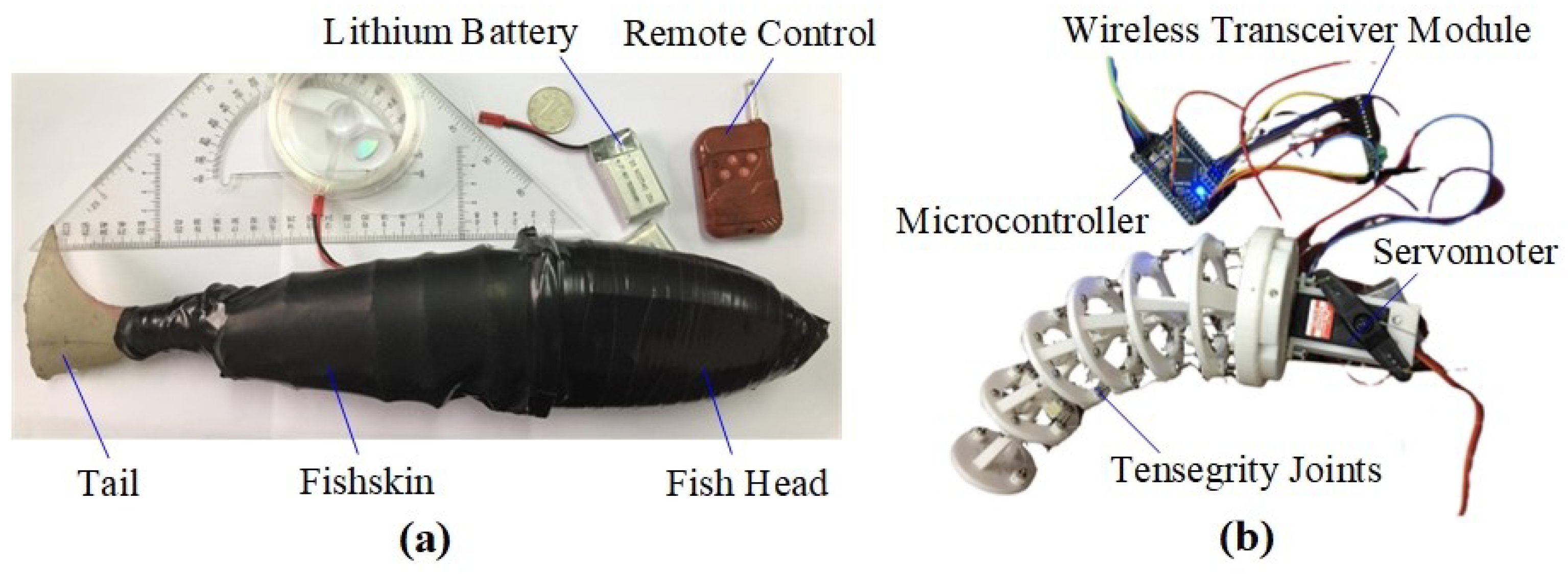 Biomimetics 09 00006 g002