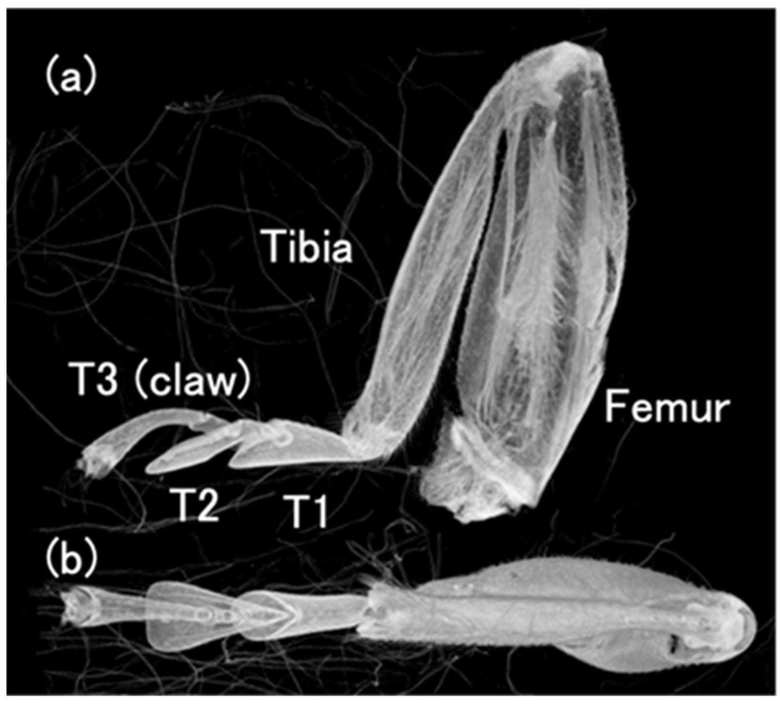 Biomimetics 09 00184 g002