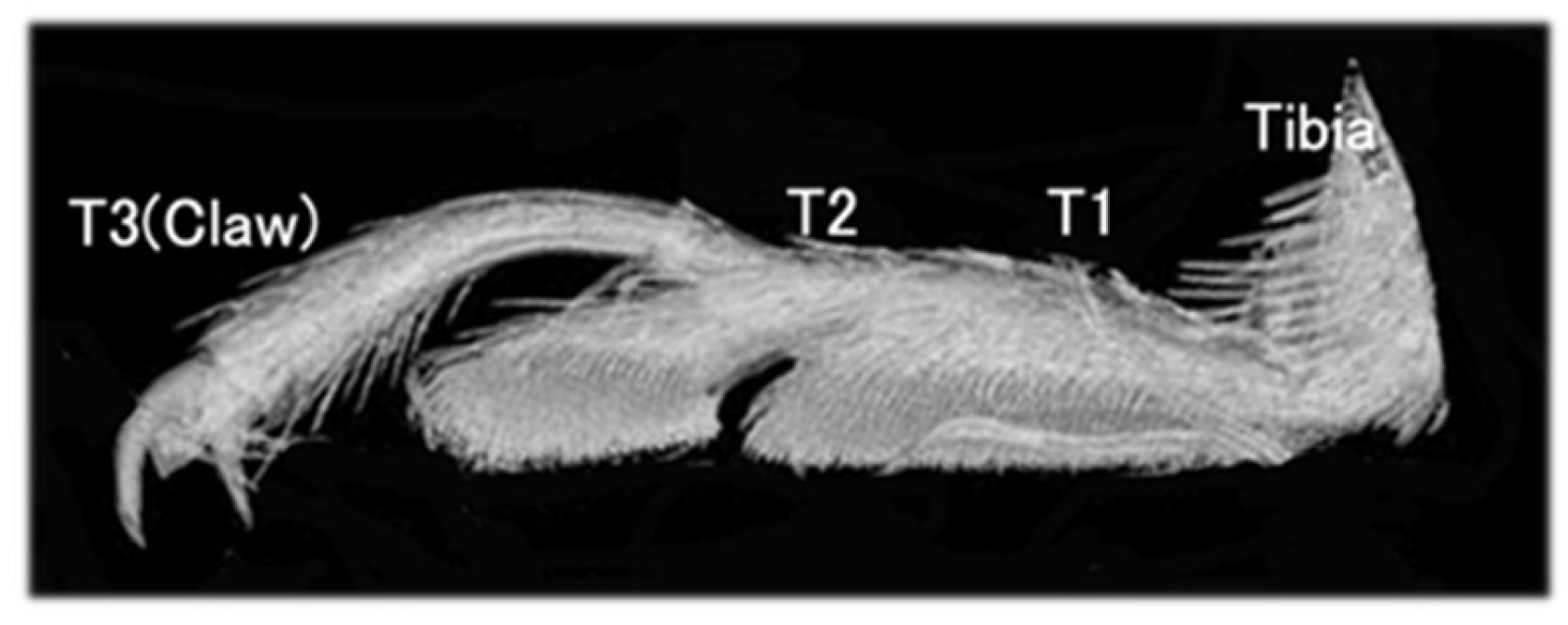 Biomimetics 09 00184 g003