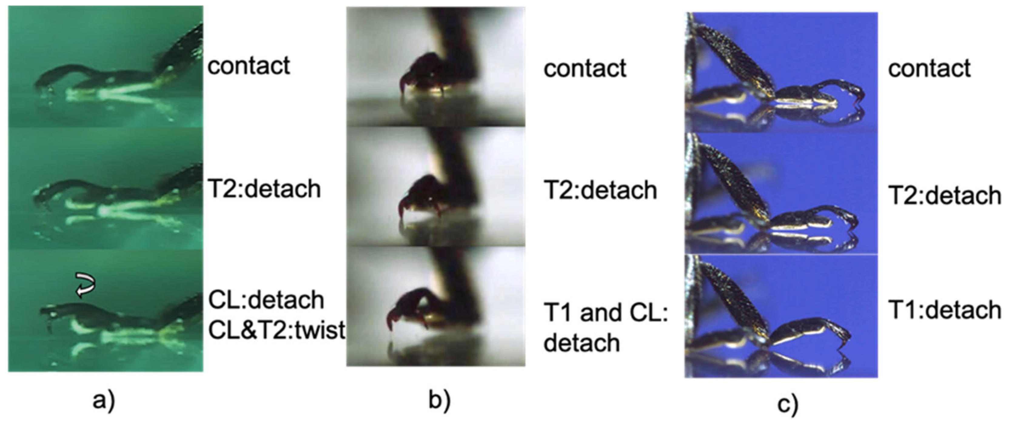Biomimetics 09 00184 g006