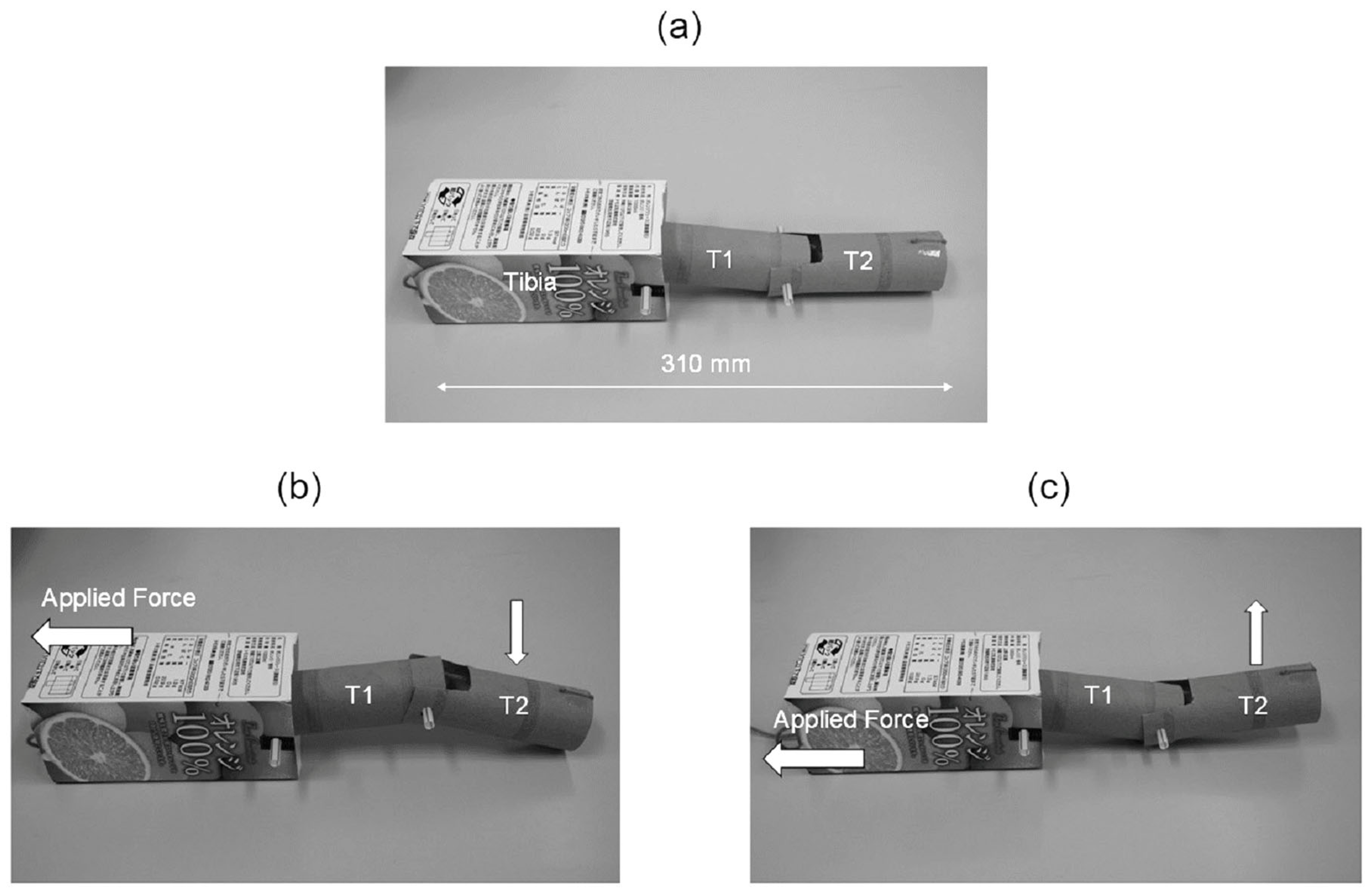 Biomimetics 09 00184 g013