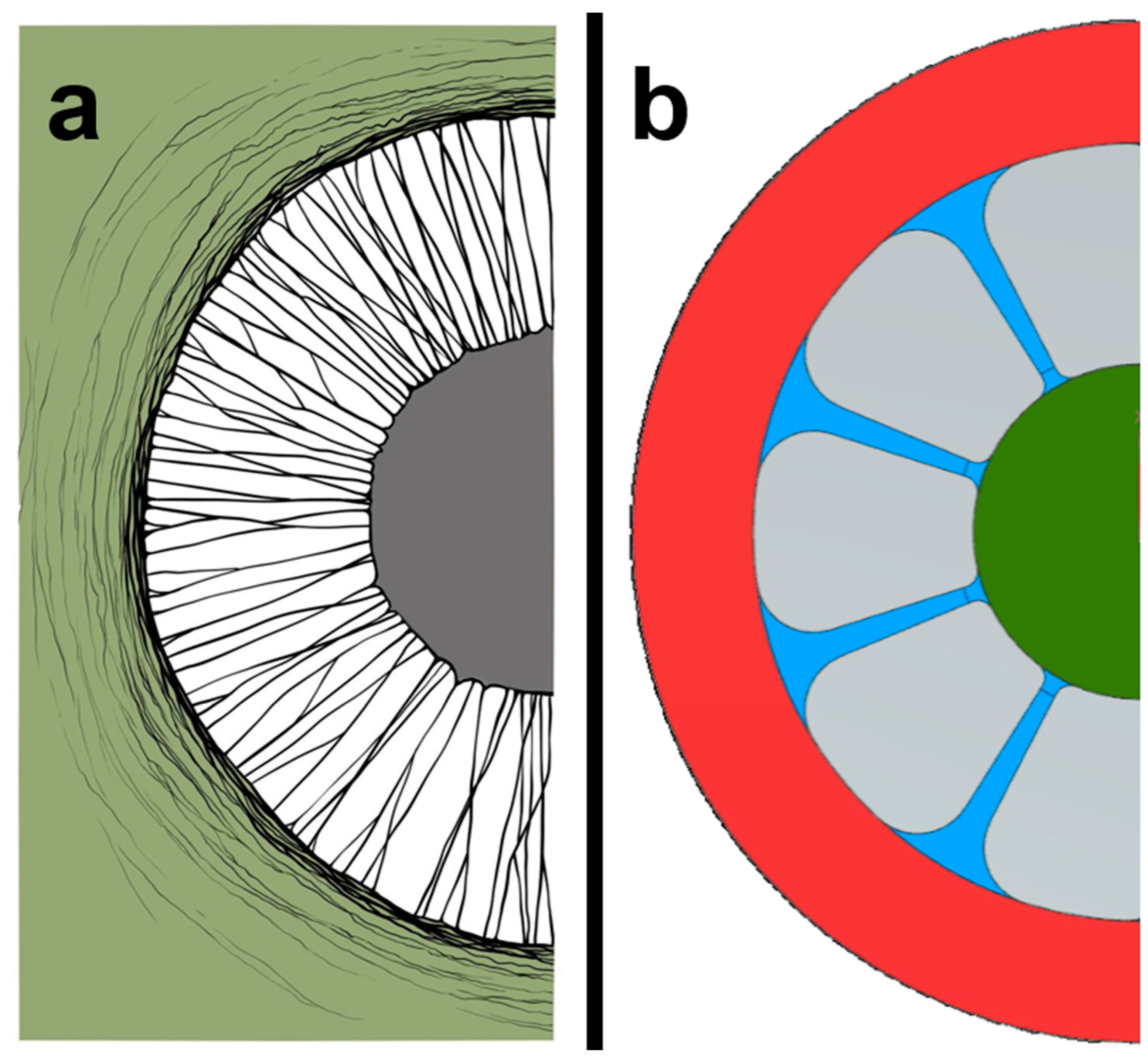 Biomimetics 09 00207 g004