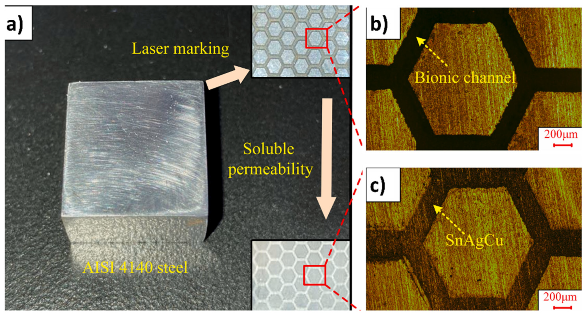 Biomimetics 09 00209 g008