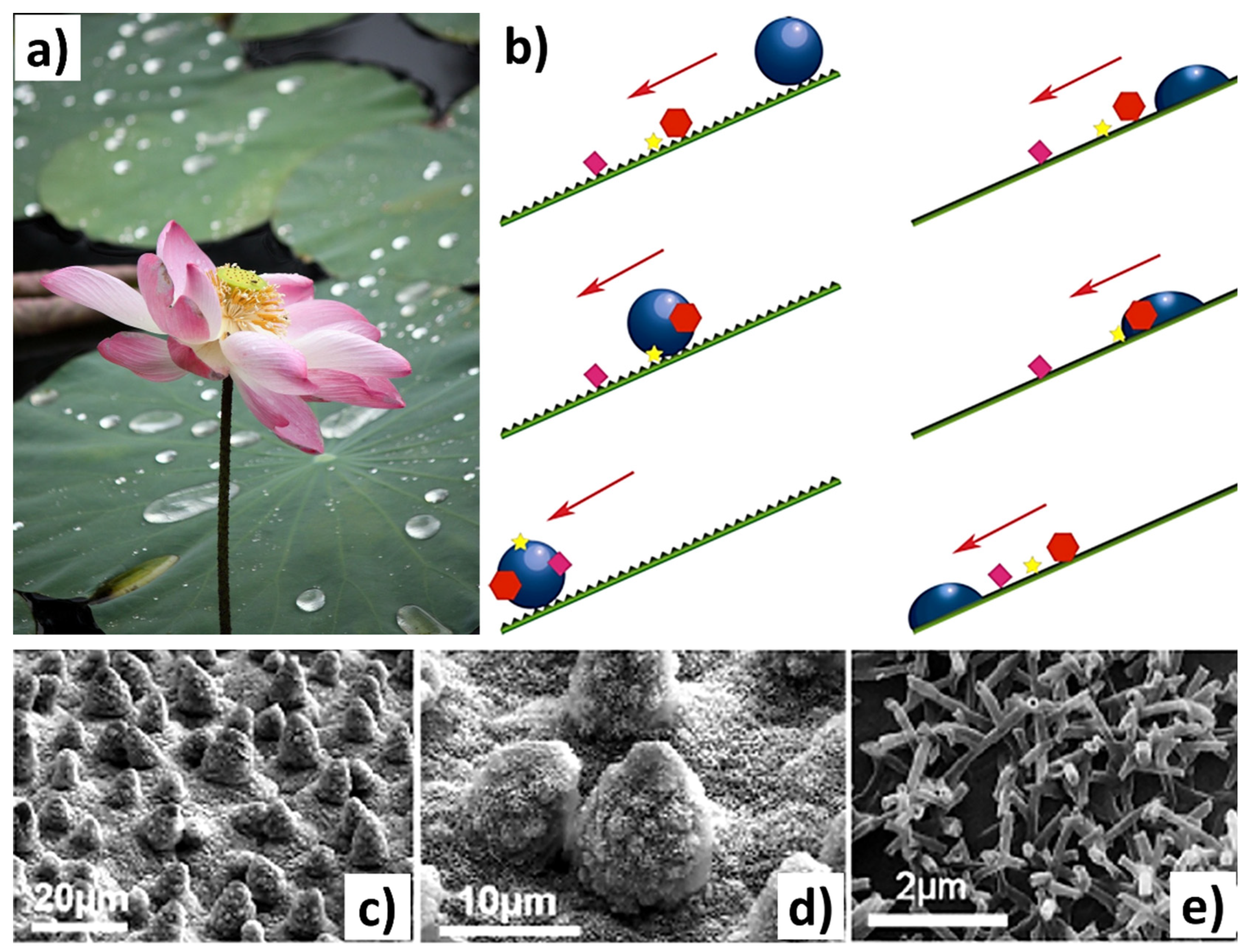 Biomimetics 09 00209 g009