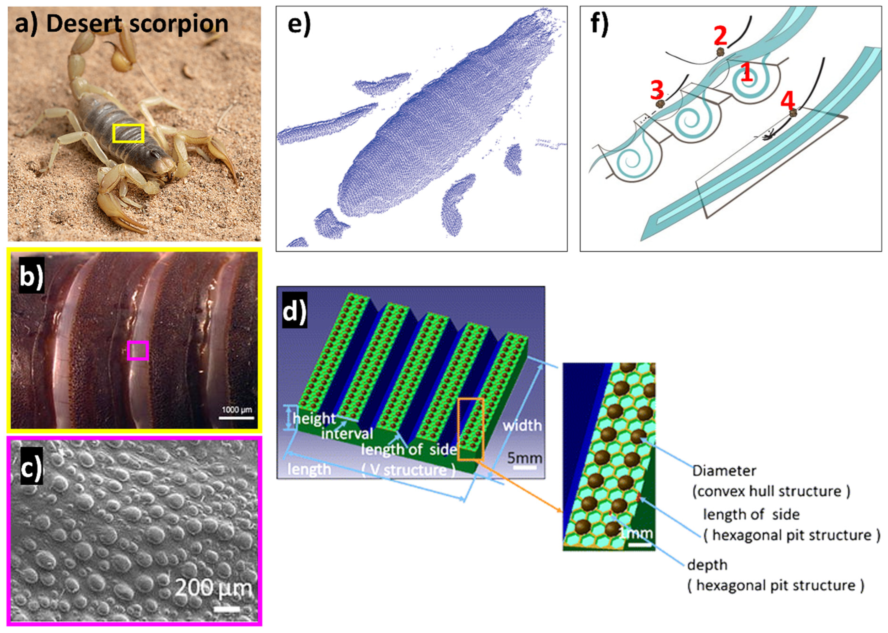 Biomimetics 09 00209 g012