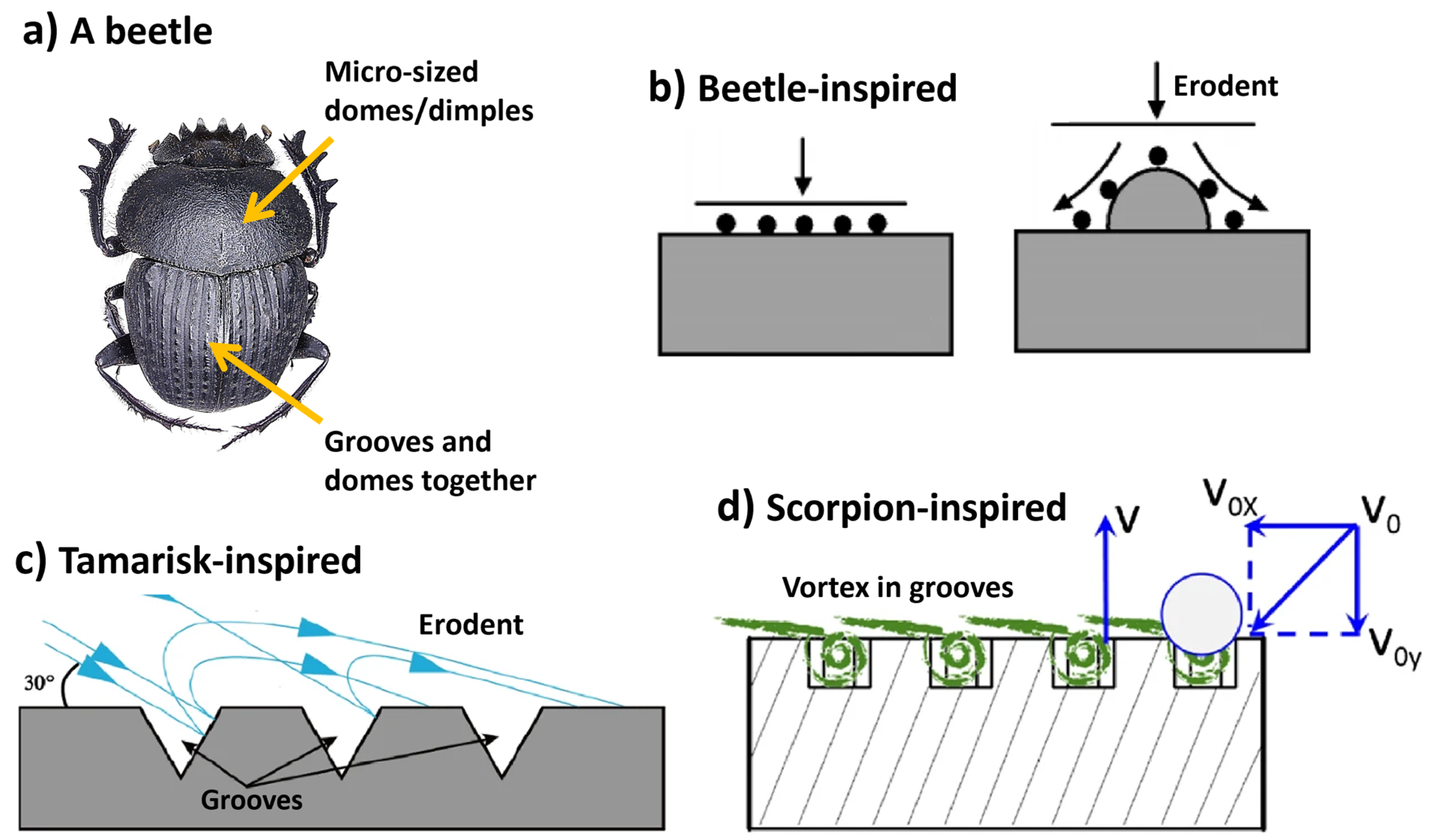 Biomimetics 09 00209 g013