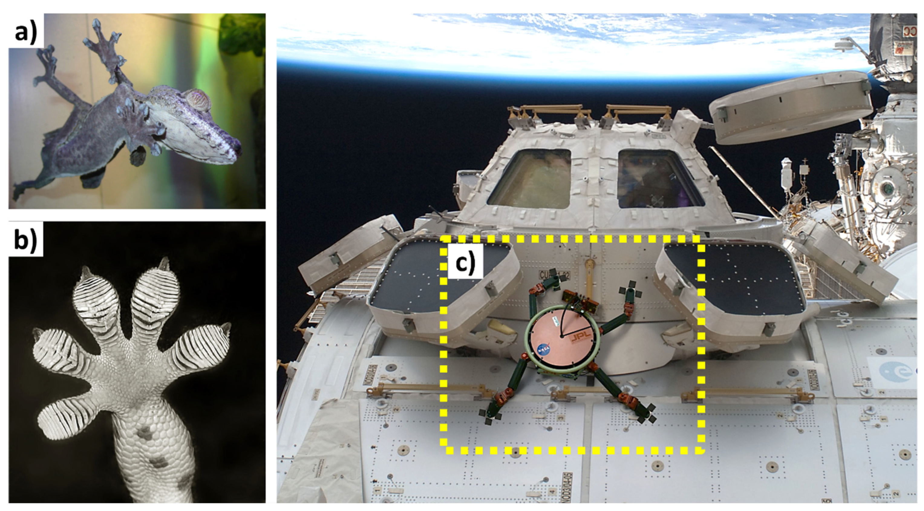Biomimetics 09 00209 g023