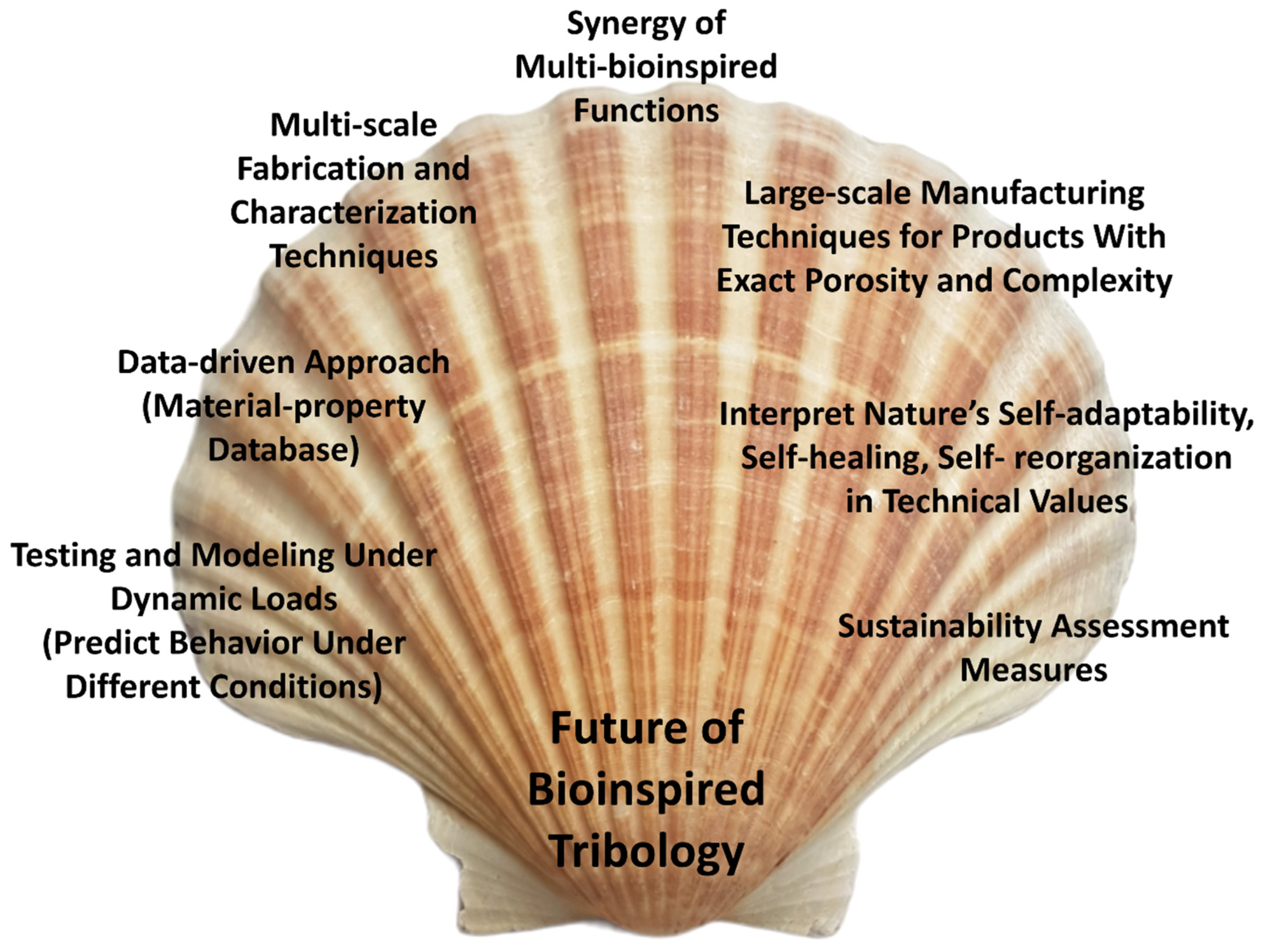 Biomimetics 09 00209 g029