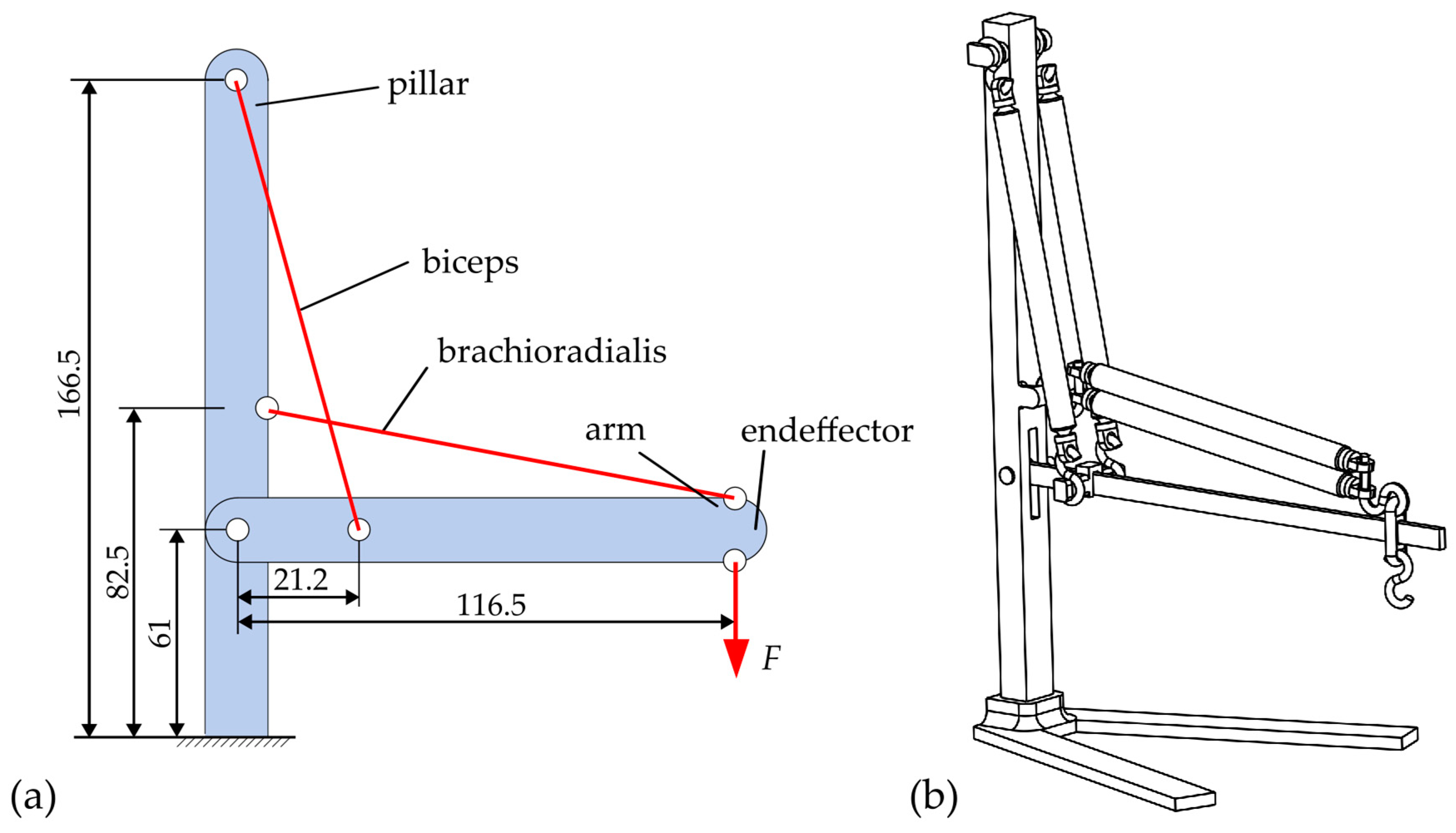 Biomimetics 09 00236 g005