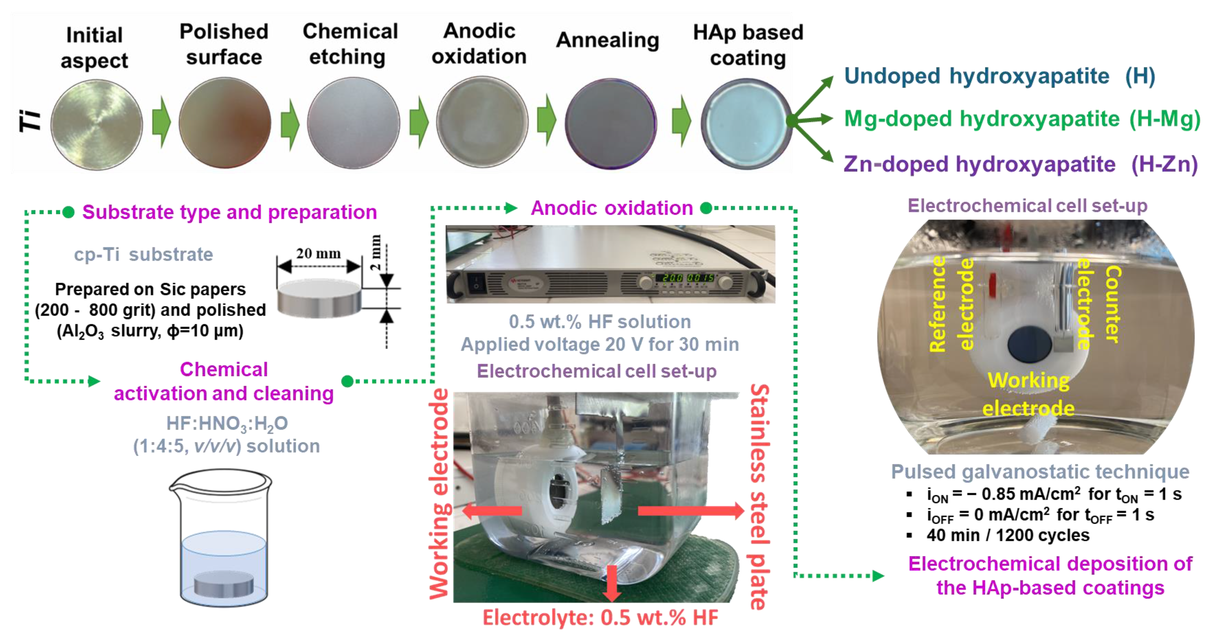 Biomimetics 09 00244 g001