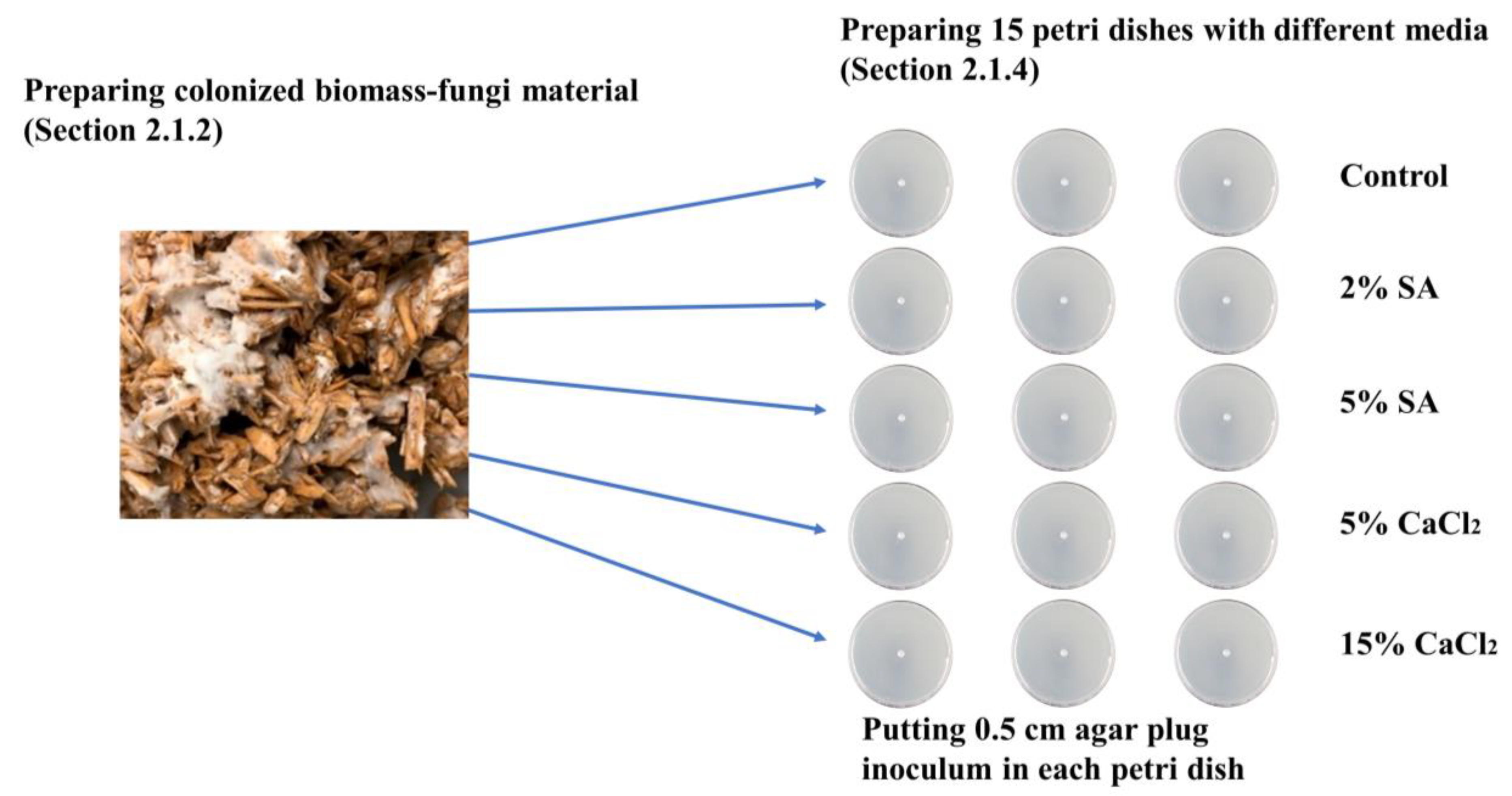 Biomimetics 09 00251 g002