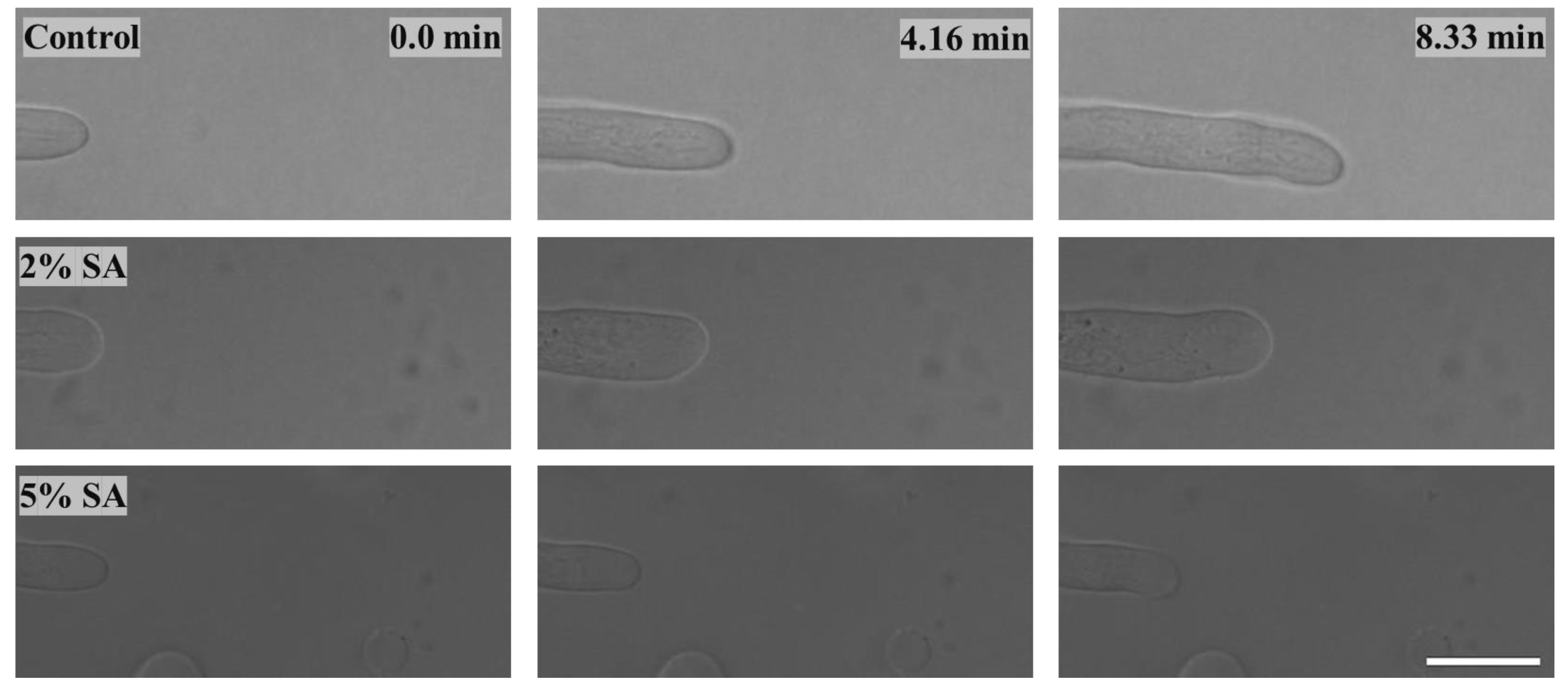 Biomimetics 09 00251 g004