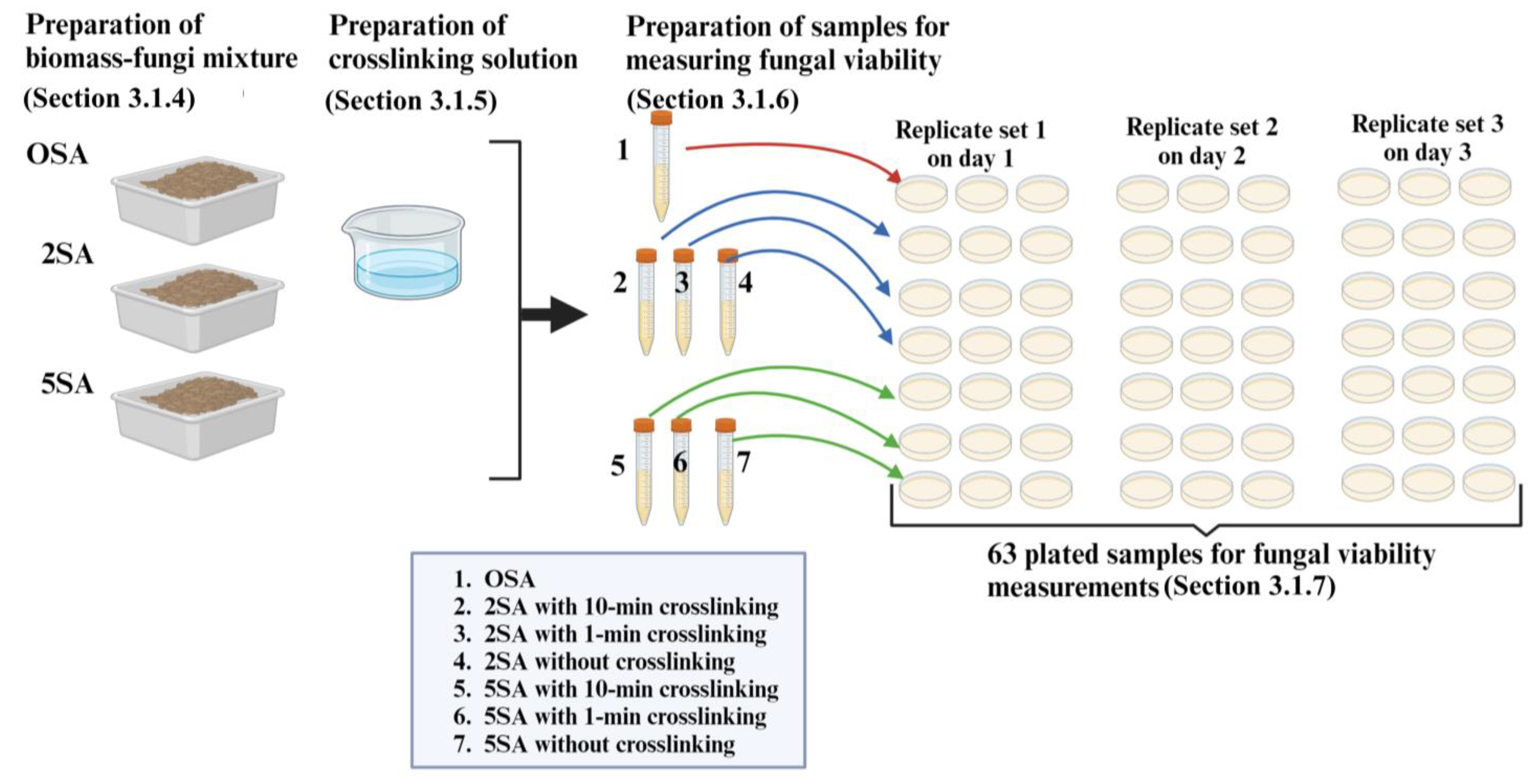 Biomimetics 09 00251 g005